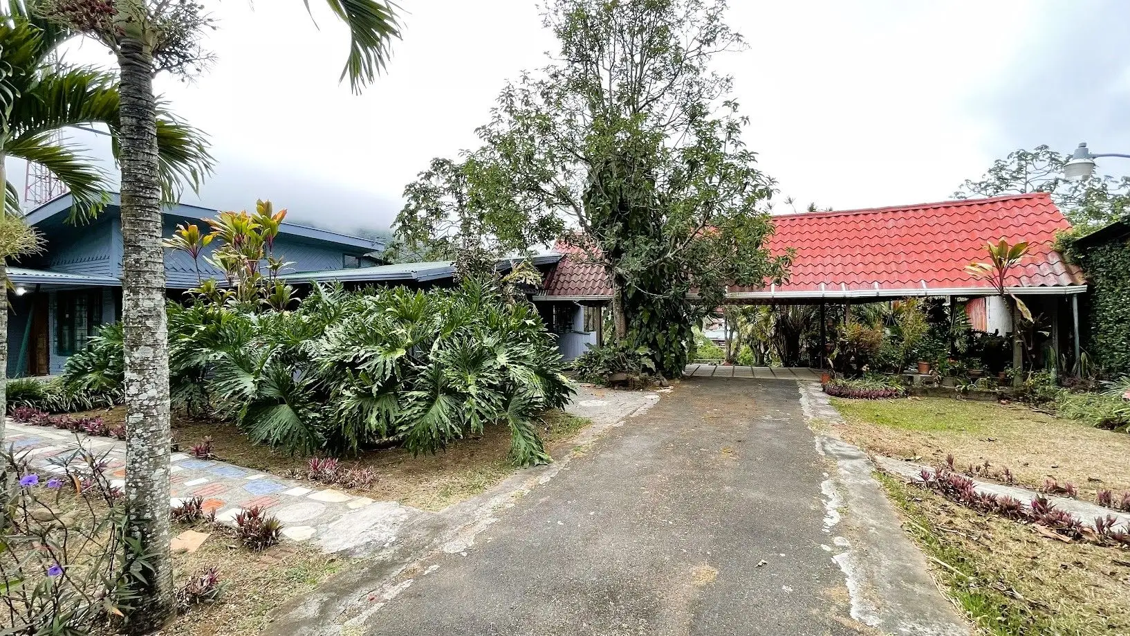 LOT WITH HOUSE FOR SALE IN ZARAGOZA, PALMARES - image 5