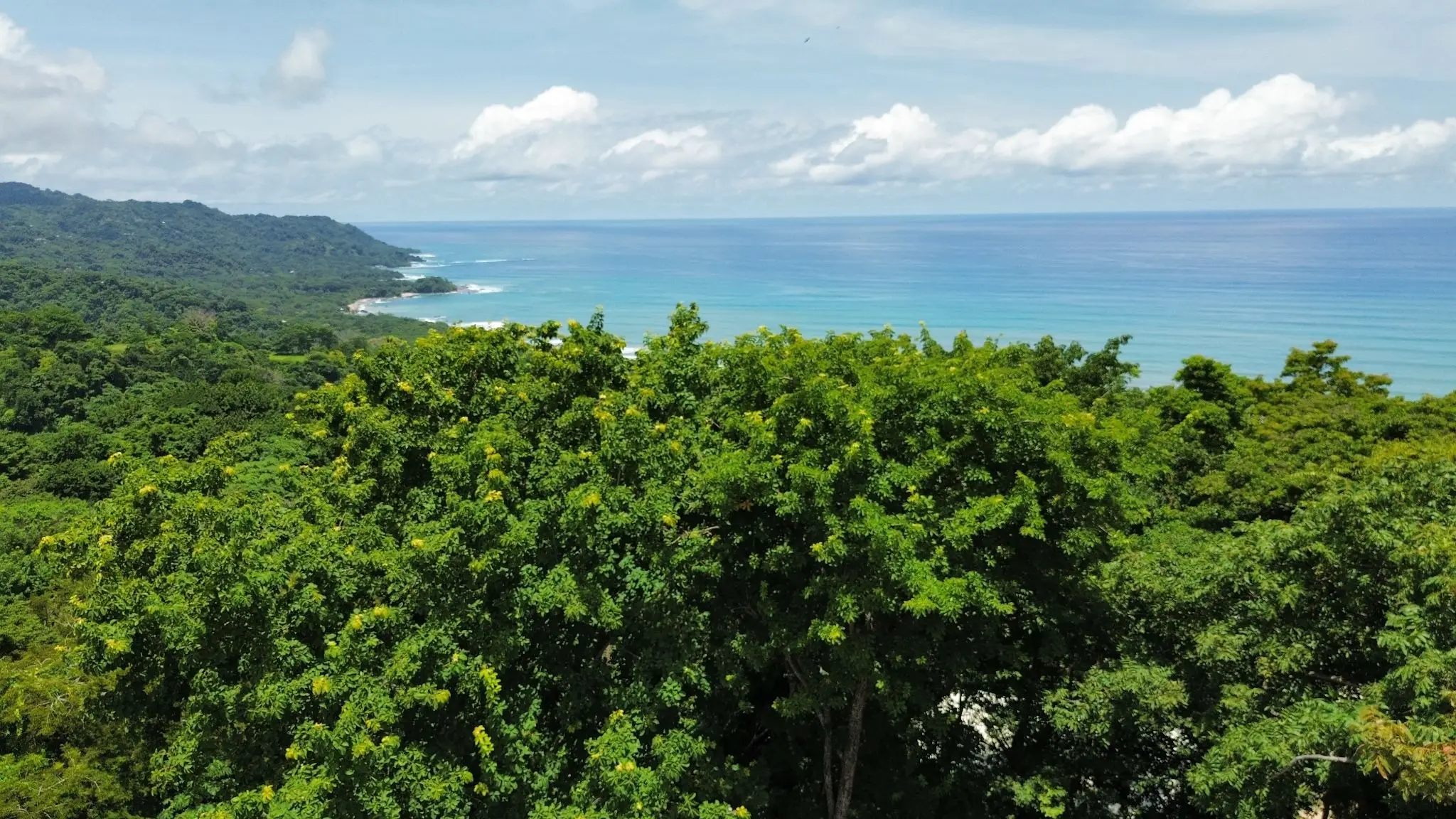 Build Your Dream Villa in Santa Teresa – Prime 1.181.5 m² Lot with Ocean view - image 1
