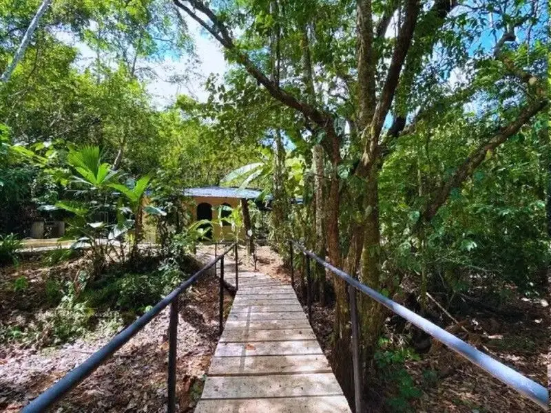 Dream Costa Rica Rainforest Property for Sale in Pueblo Nuevo/ Jacó - image 4