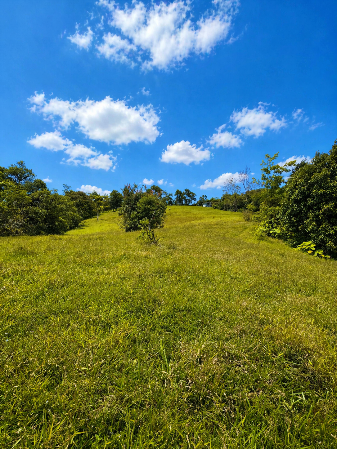 SALE / Coronado Mountain Sanctuary - image 6