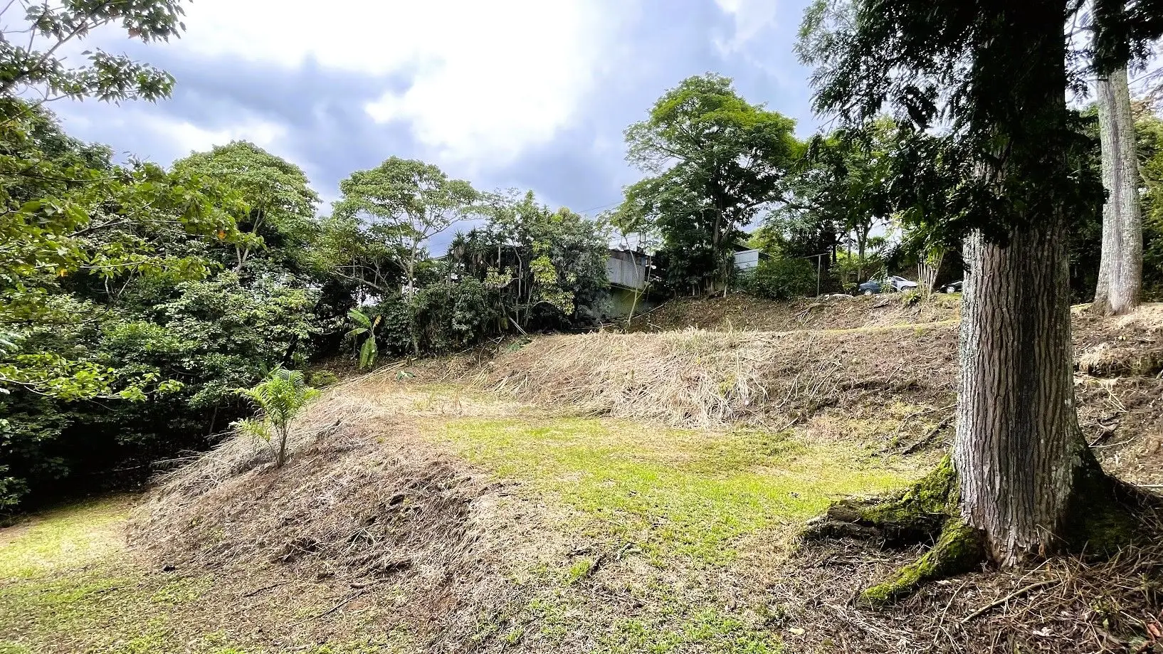 LAND FOR SALE IN SAN MIGUEL, NARANJO  - image 11