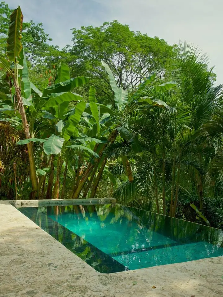  3 Independent Units, Pool & Tropical Gardens steps to the Beach in Mal País and minutes to Santa Teresa  - image 5