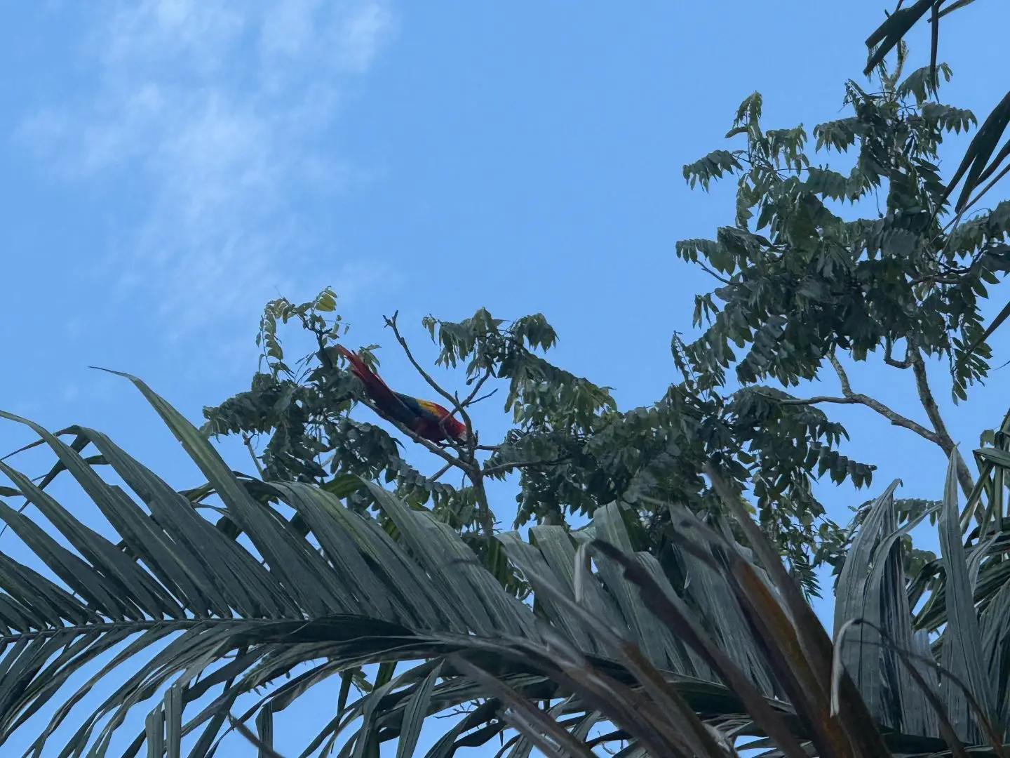 Eco-Luxury Mountain Santuary  11.48 Hectares of Pristine Paradise: Lush Forest, River & Farm Potential in Arenal Puriscal , San Jose  - image 2