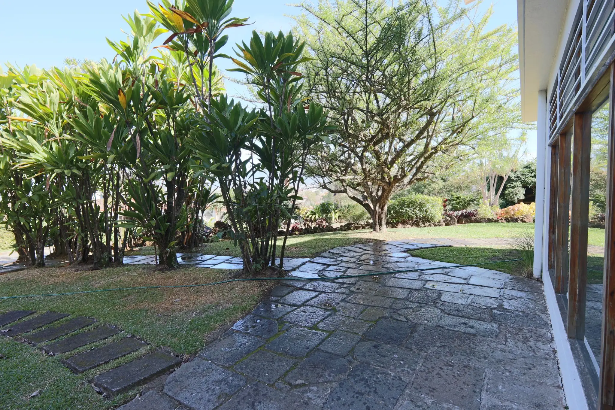 Luxurious 4-Bed Costa Rica Estate for Rent with Pool & Panoramic Views - image 11