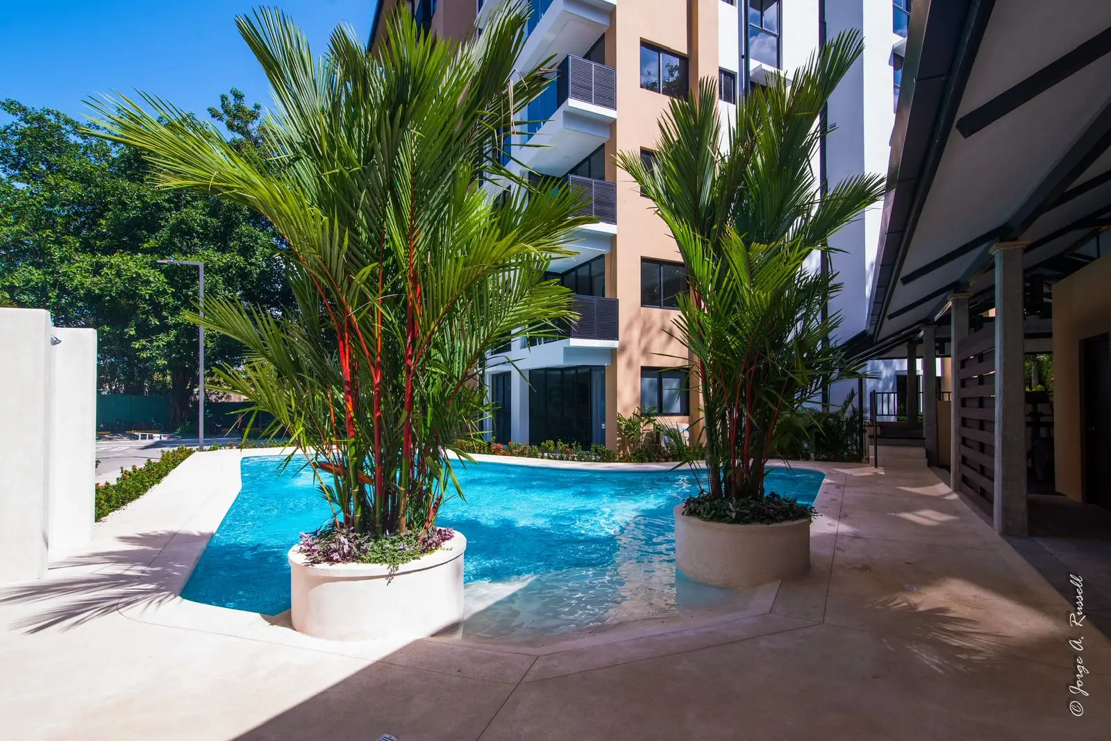 Turn-Key 2BR Condo in Jaco,Proven Airbnb Income ,near beach - image 7