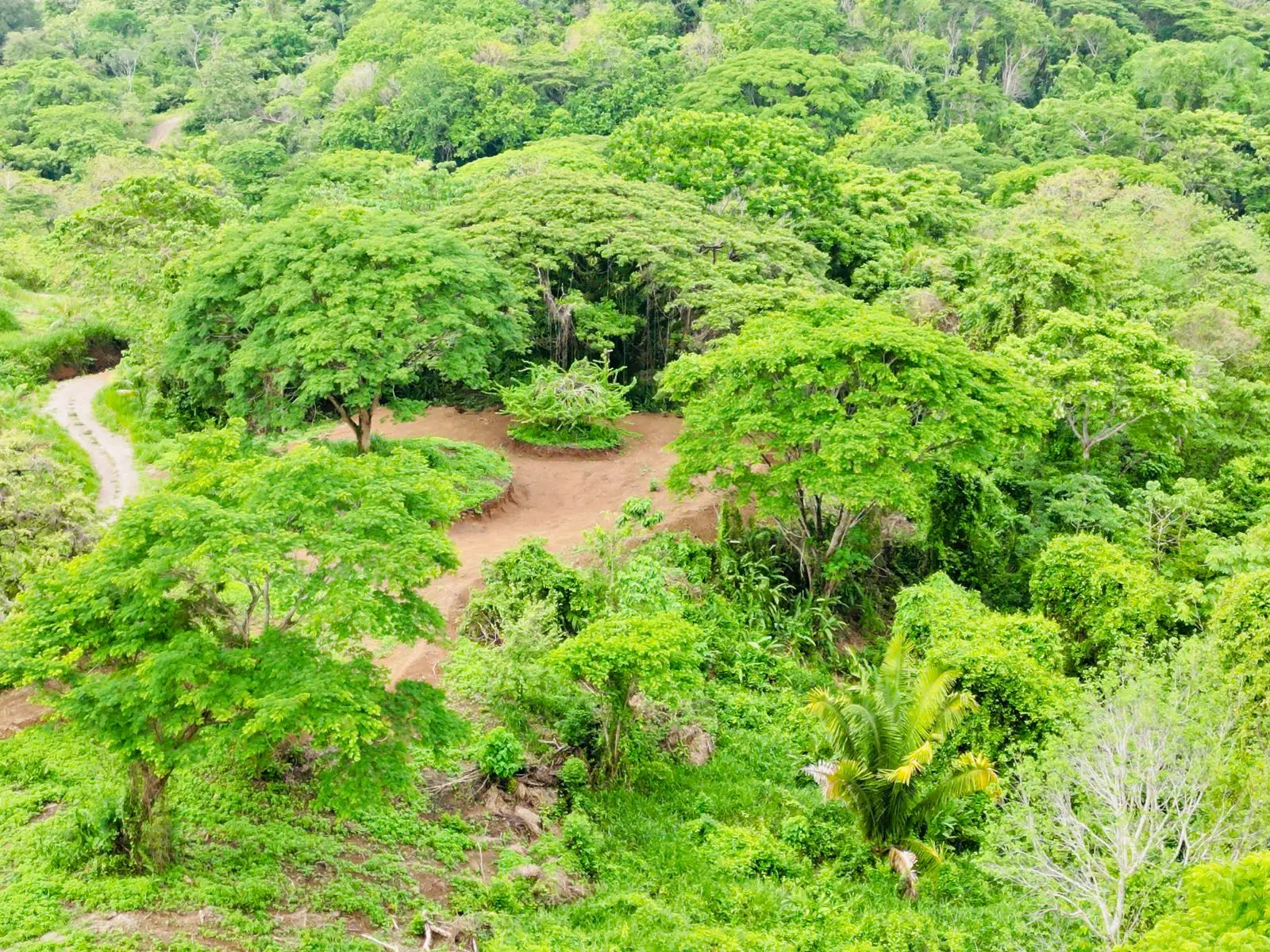 Enchanting 9,800 m² Land Surrounded by Jungle and Nature. A Peaceful Retreat Near Santa Teresa, Mal País, and Cabuya - image 10