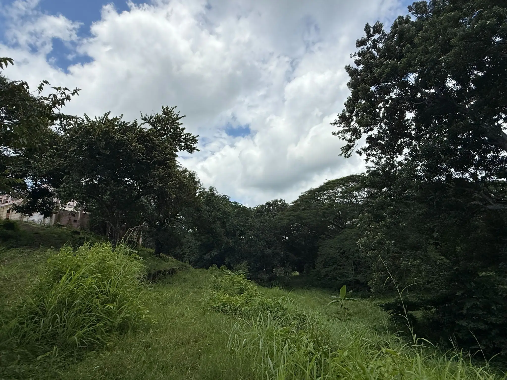 Playa Agujas Premier Ocean-View Development Parcel: 5.1 Hectares in Costa Rica's Garabito Coast - image 3