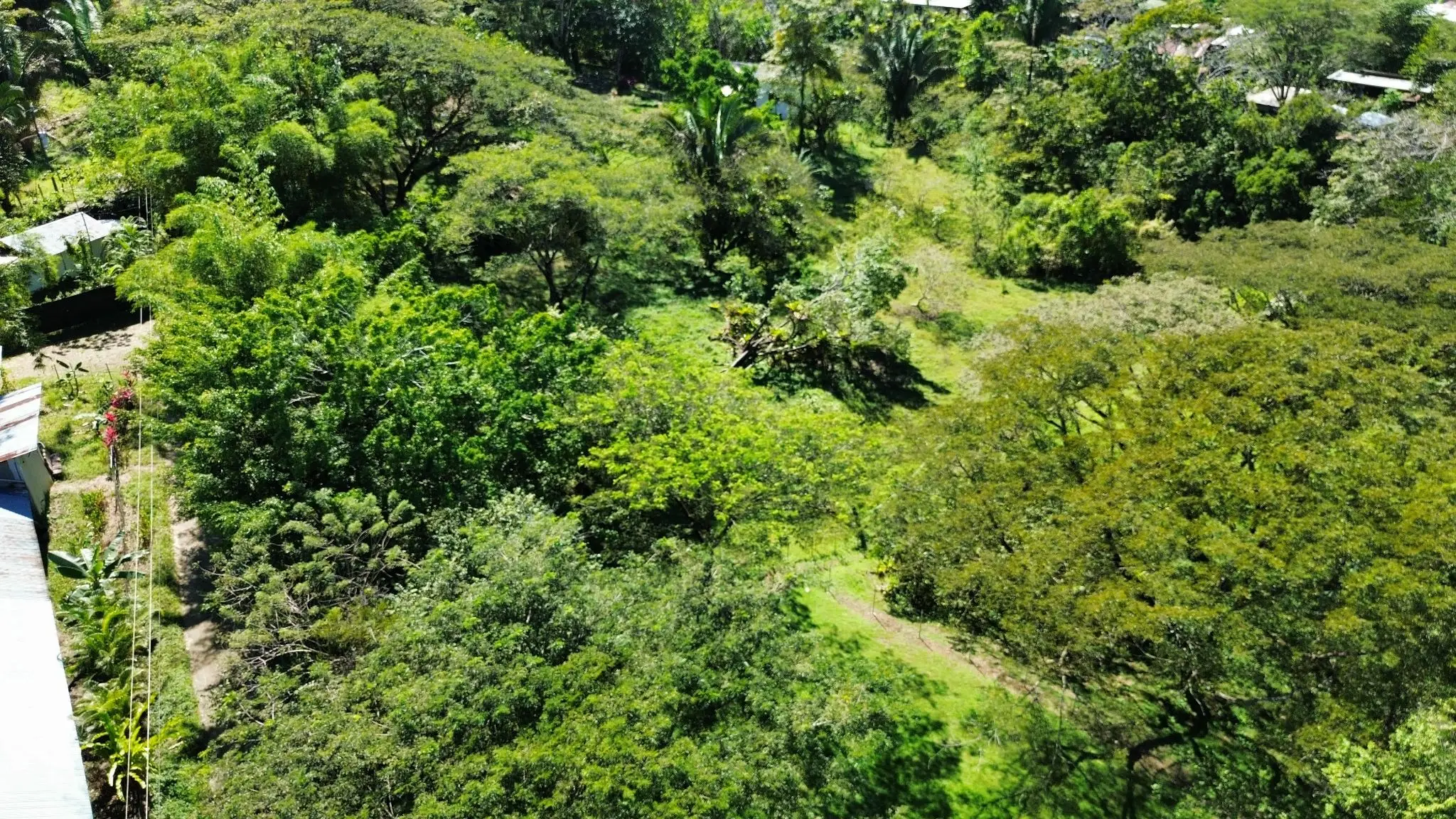 Serene 5000 m2 Lot-Lush Nature and Development Potenital- 10 Minutes from Santa Teresa - image 3