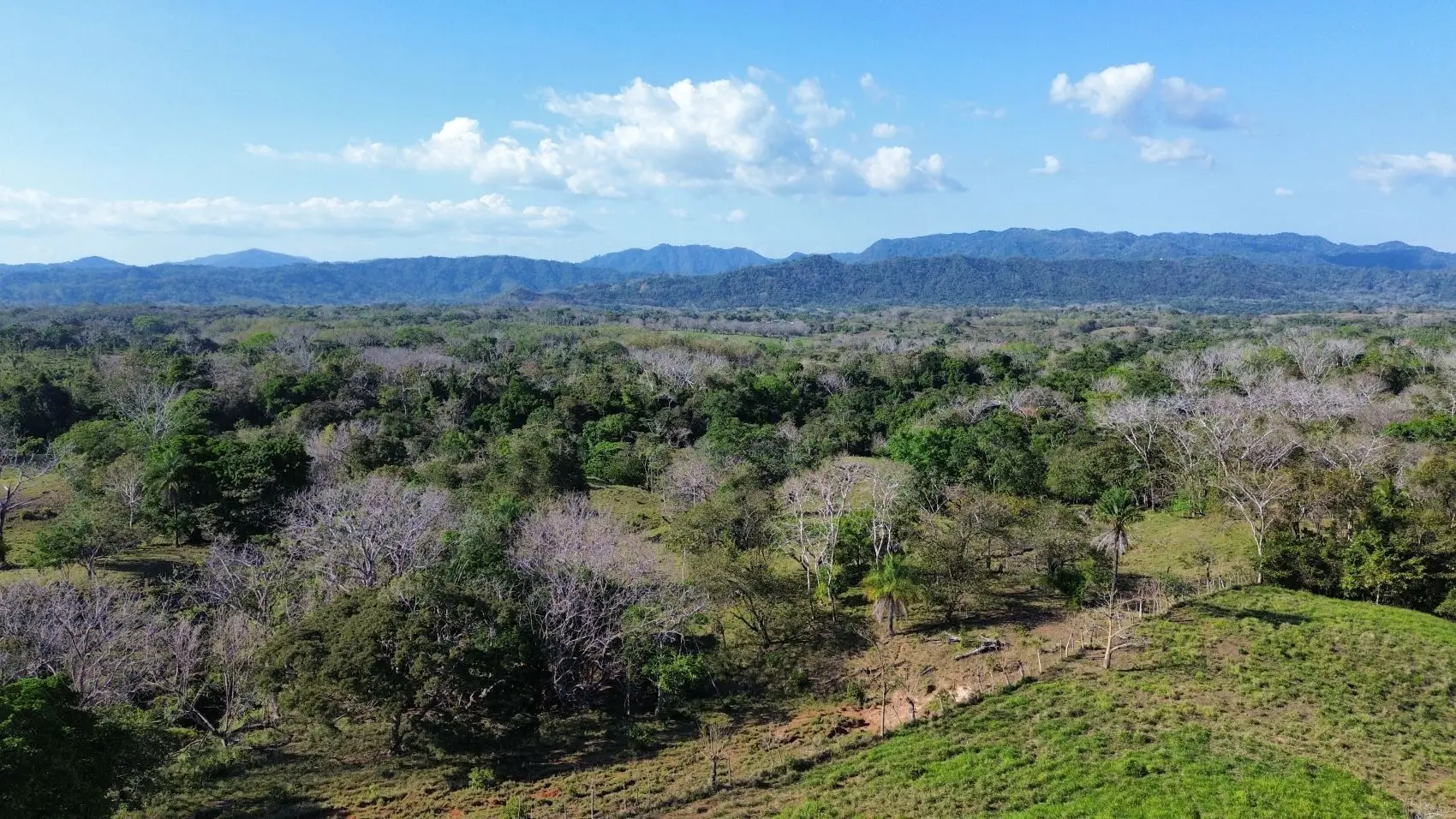 Exceptional 32-Hectare Finca for Sale Near Santa Teresa, Costa Rica – $12.50/m² - image 5