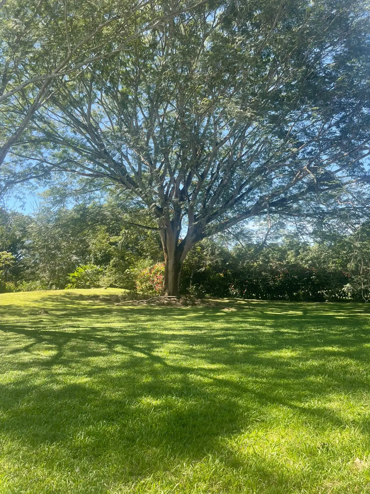 A hidden paradise in Orotina: 4,919 m² to create the life you dream of - image 3