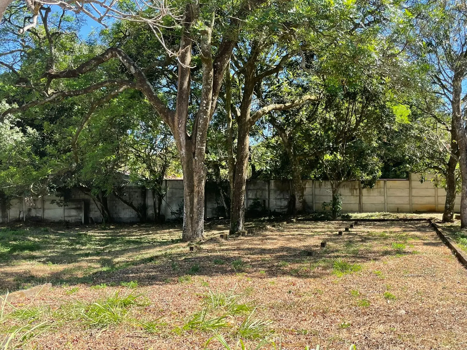 For Sale: large lot in Ciudad Colon  - image 7