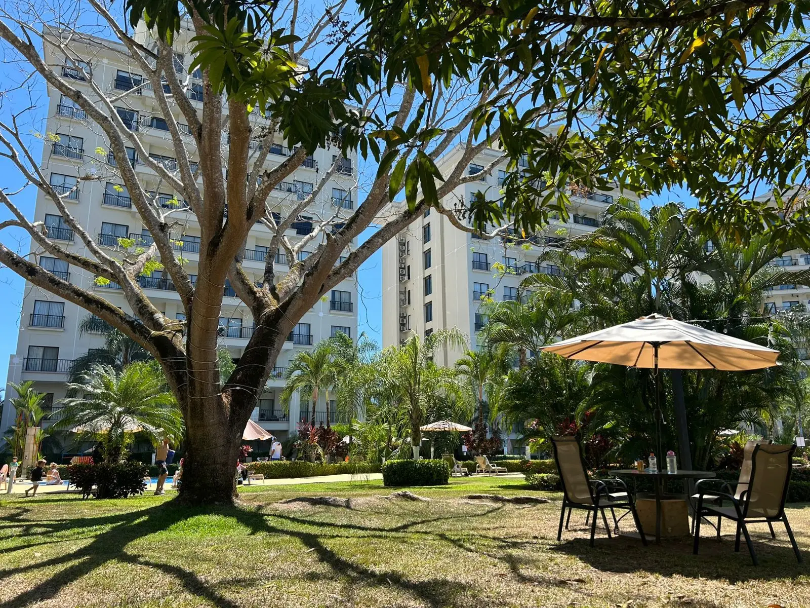  Modern 2-Bedroom Condo in Jacó with Spectacular Pool & Social Area  - image 14