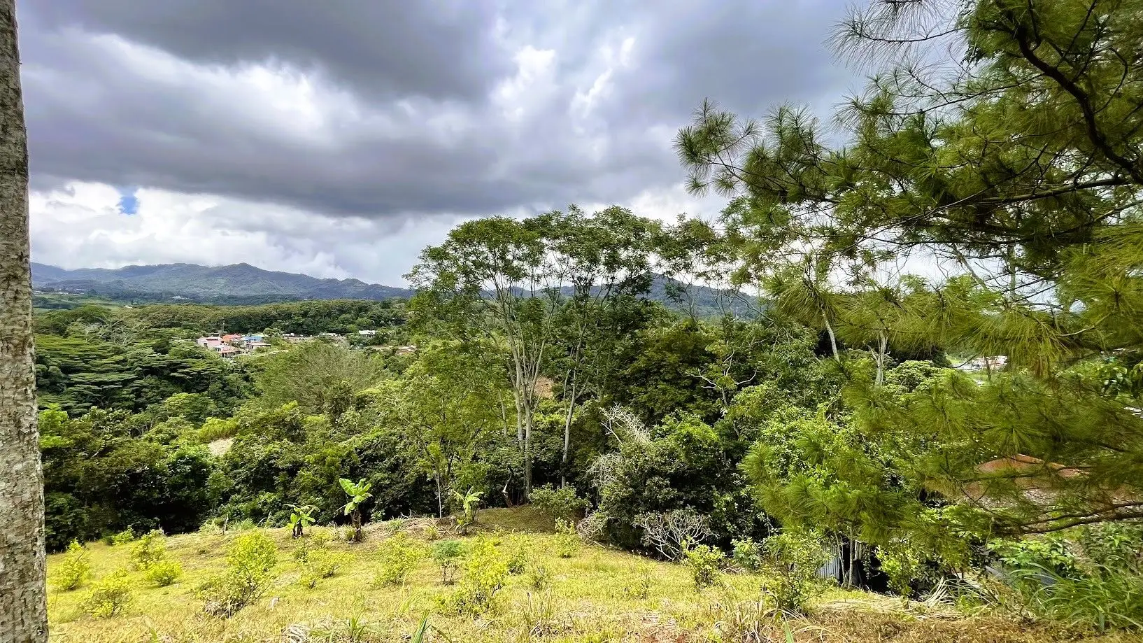 LAND FOR SALE IN SAN MIGUEL, NARANJO  - image 10