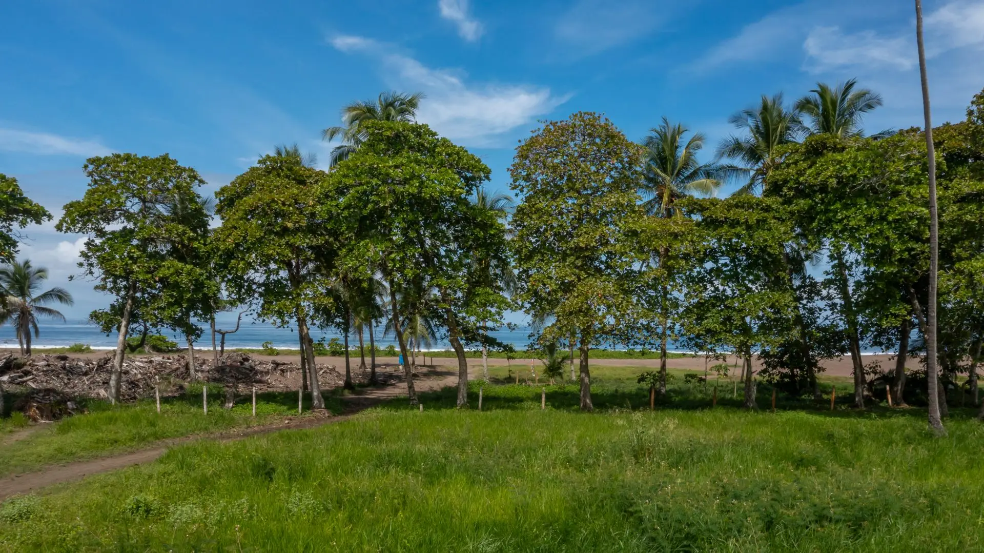 Beachside Living | 2BR Condo in Solea Jacó - image 13