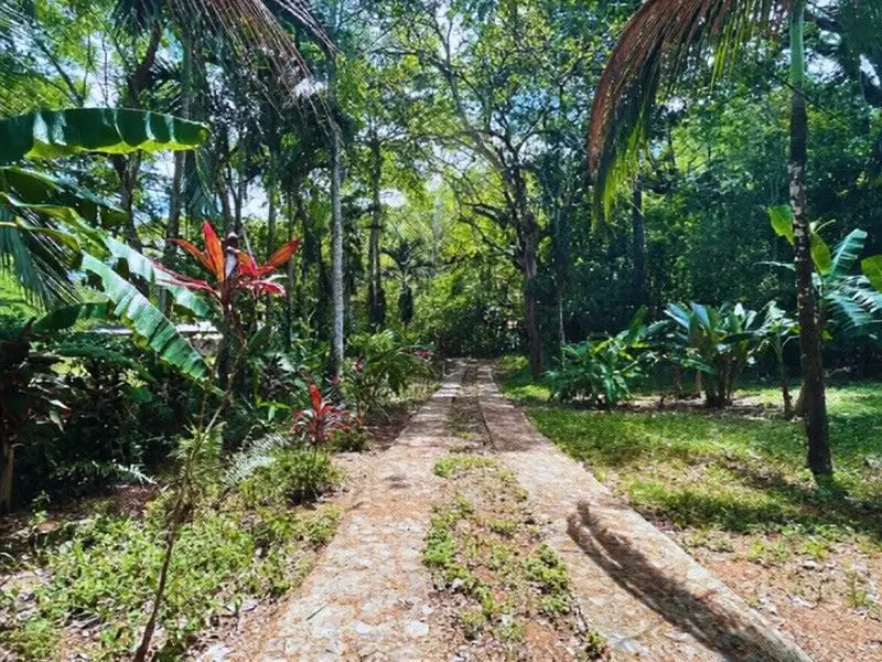 Private Sanctuary Between Jacó & Herradura: Peace & Nature, 10 Min from Everything - image 1