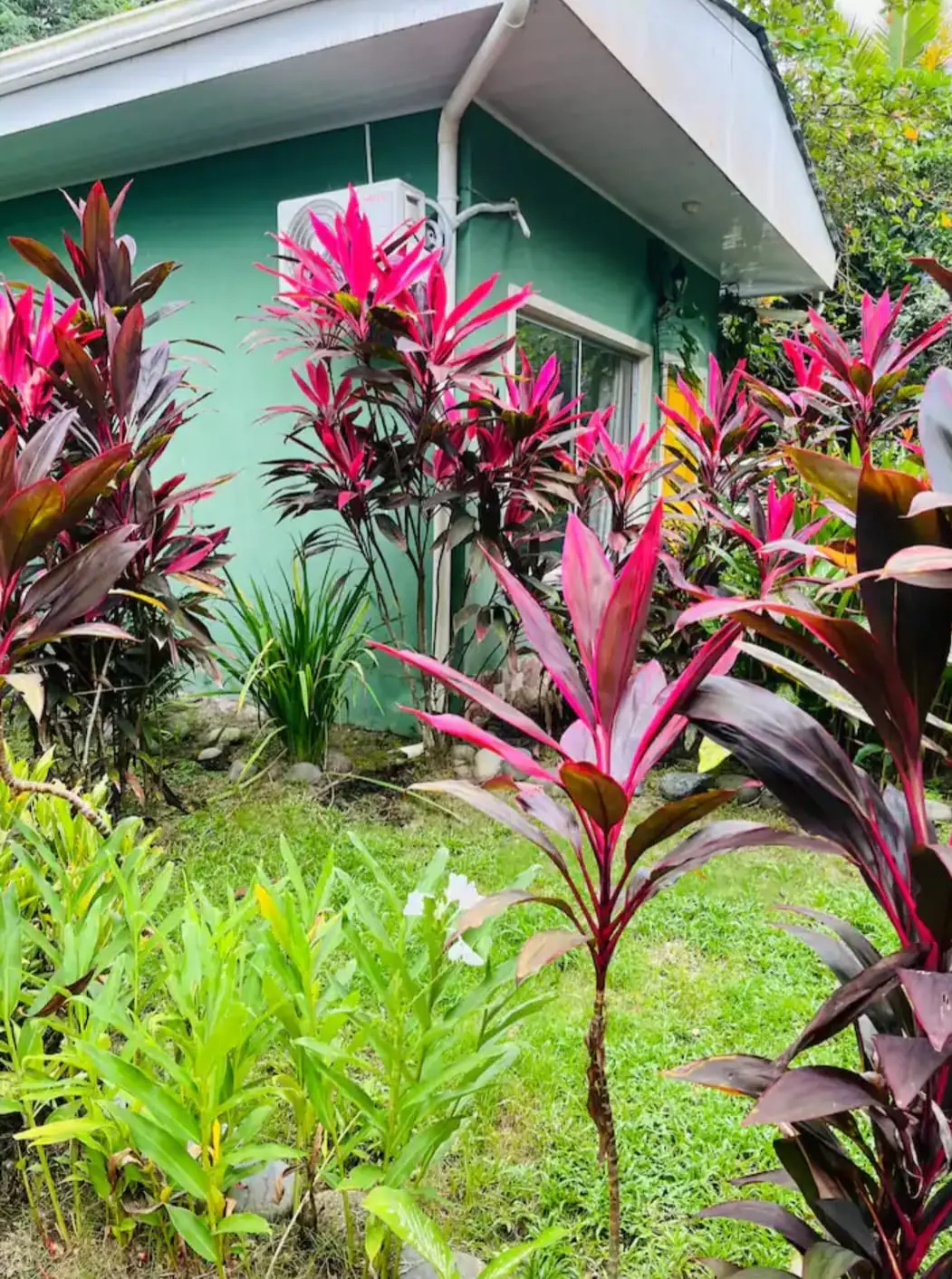 2 Studies surrounded by nature (Possibility of expansion) Playa Hermosa - image 8