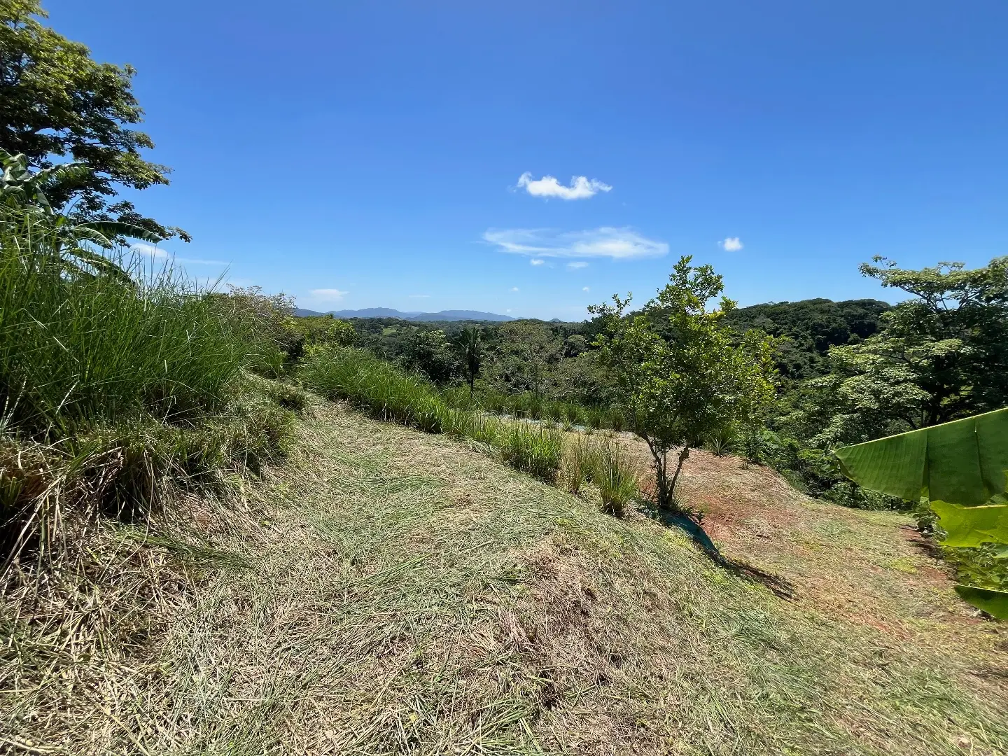Lot with three building sites minutes to Hermosa in quiet neighborhood  - image 5