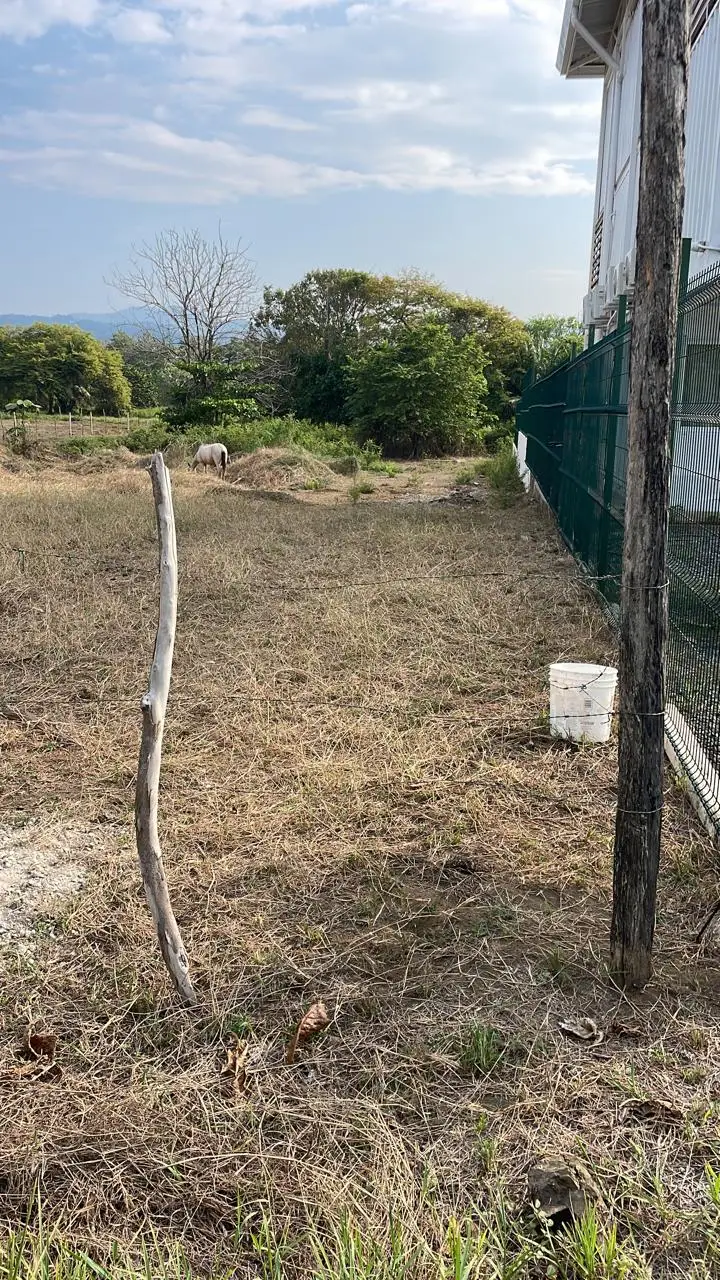 Stunning Ocean View Property in Playa Hermosa de Jaco - image 5