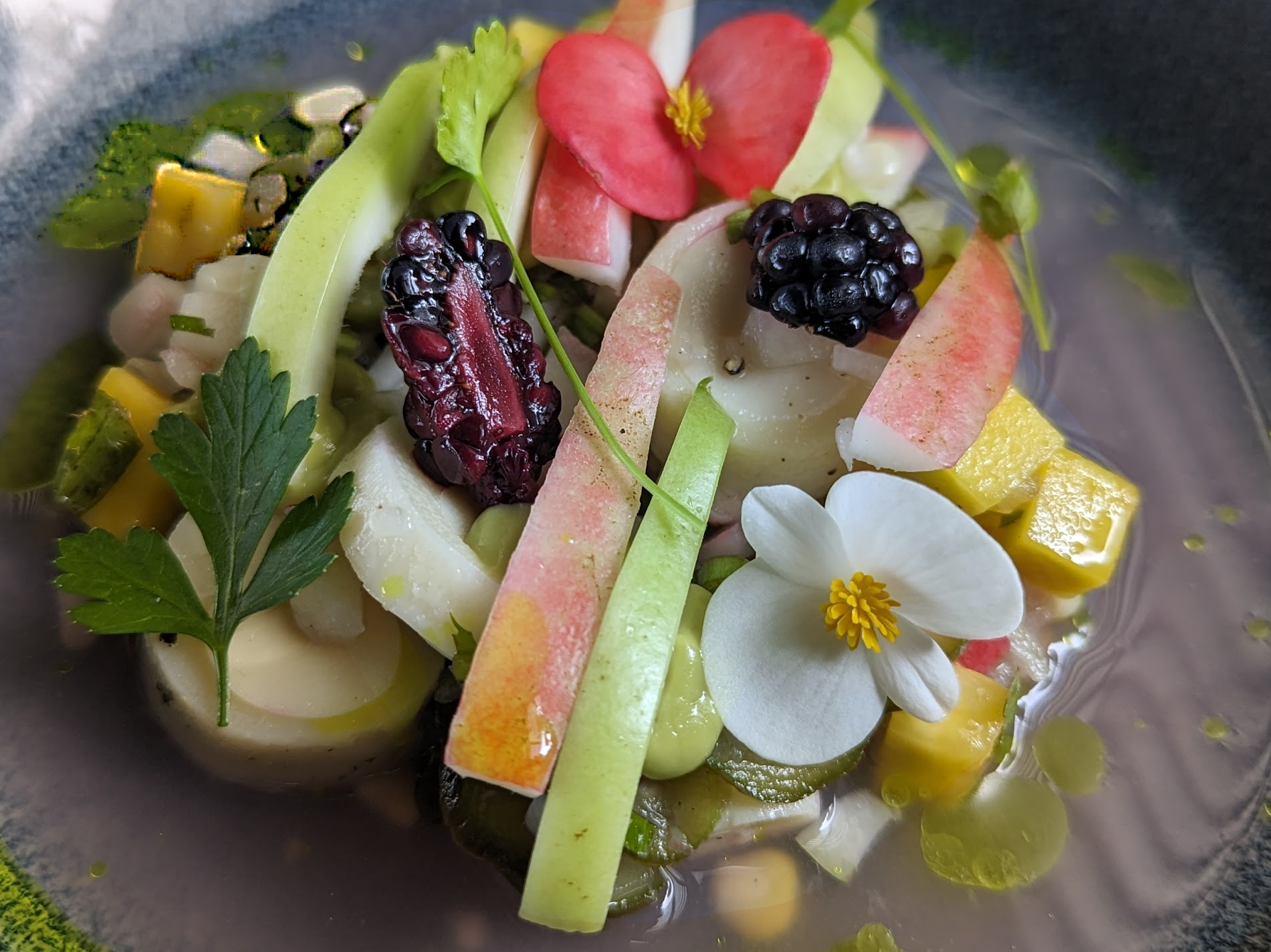 Costa Rica’s Premier Eco-Luxury  Organic Coffee Estate & Boutique Hotel - image 10