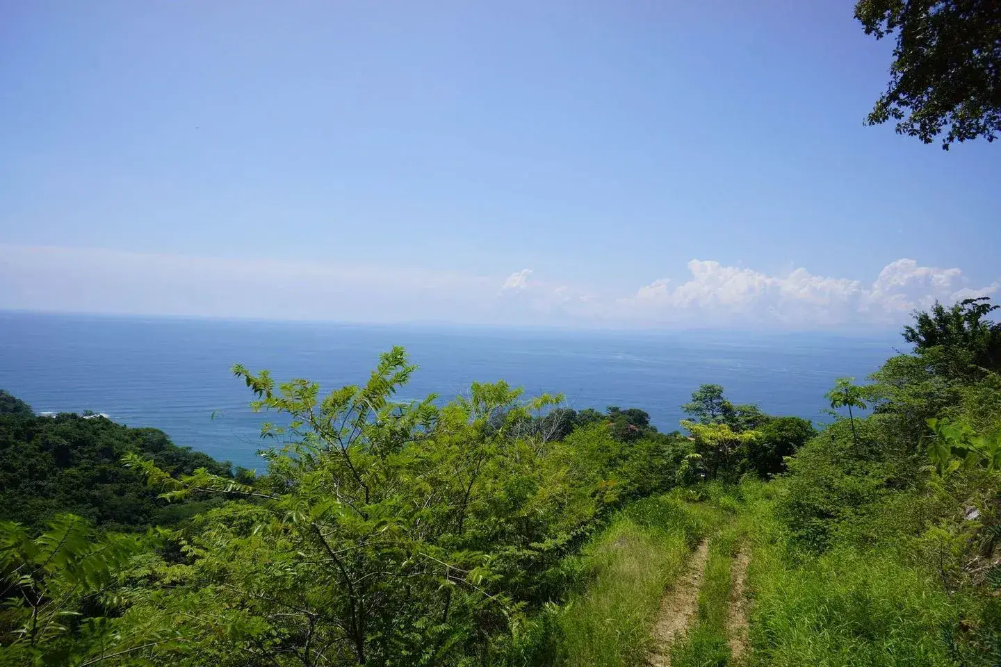 Prime Development Land in Gated Community, Playa Agujas - image 7