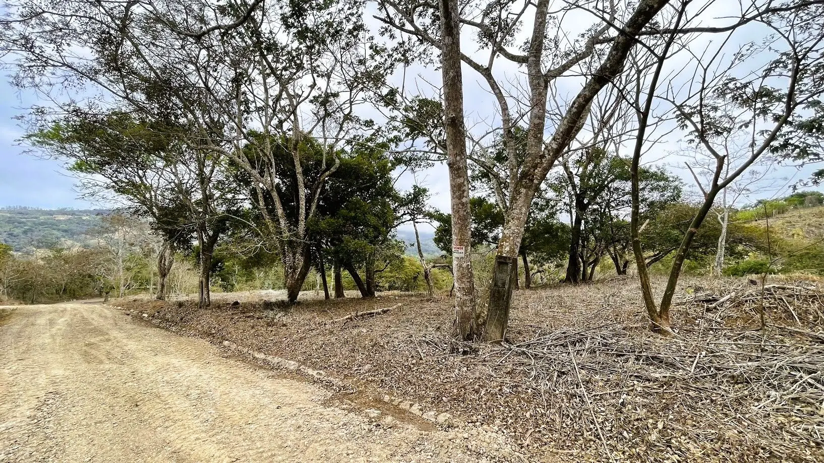 LOT FOR SALE - SAN PEDRO, SAN RAMON  - image 6