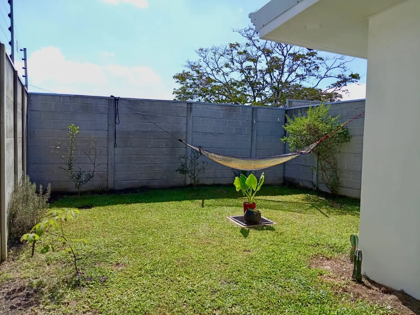 Hermosa casa en venta en Zaragoza de Palmares - image 7