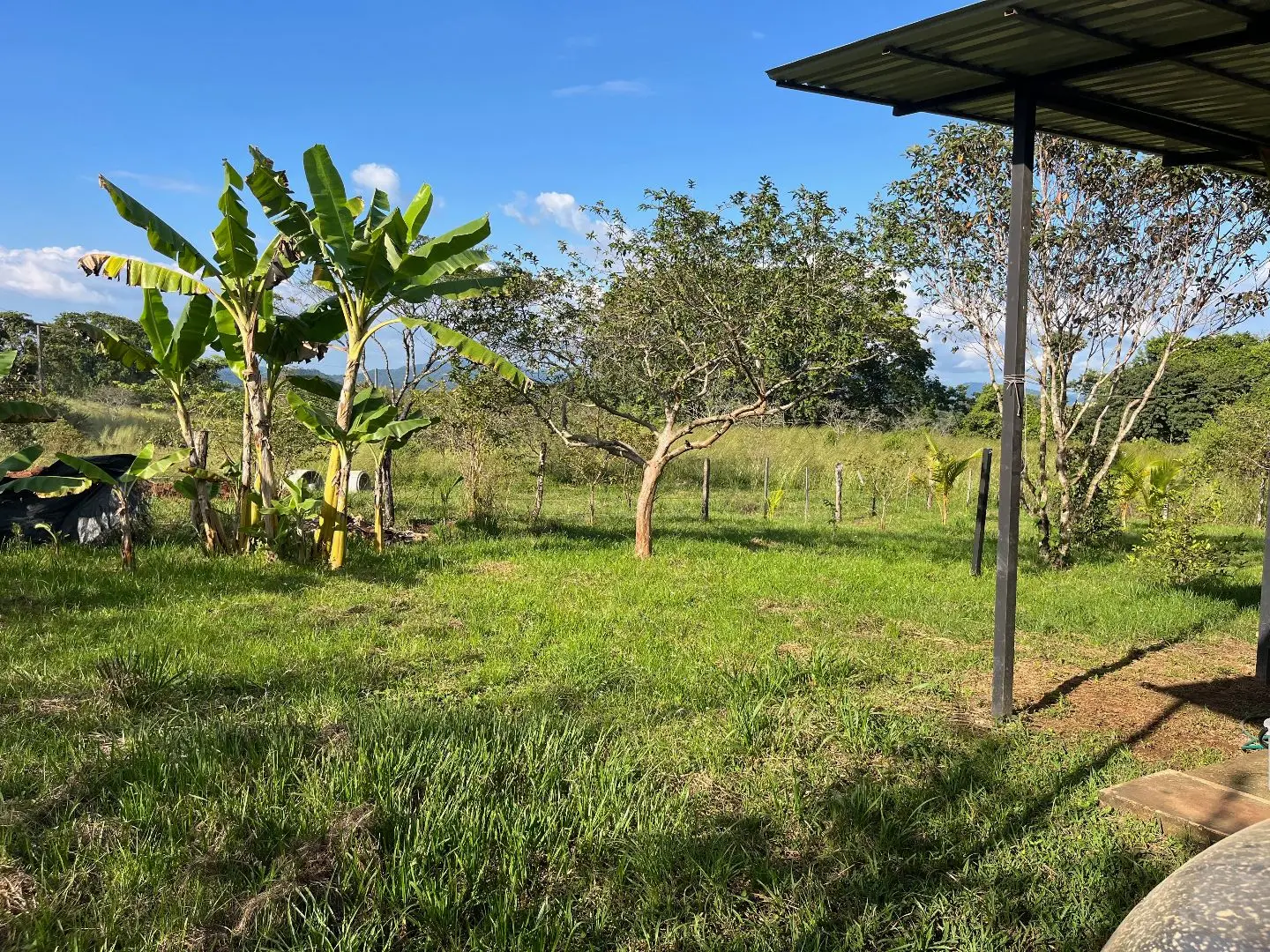 Two New Homes Near Santa Teresa - Income Property in Delicias  - image 6