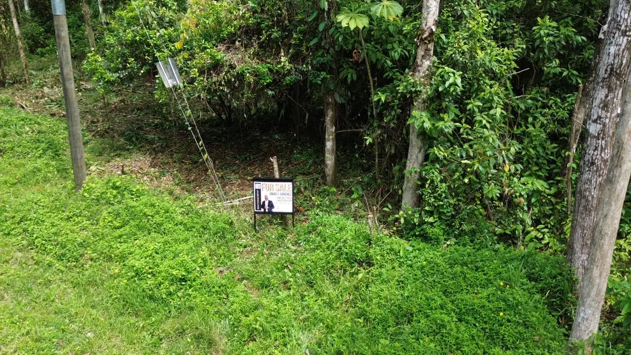 SALE / Dream Farm in the province of ALAJUELA - image 8