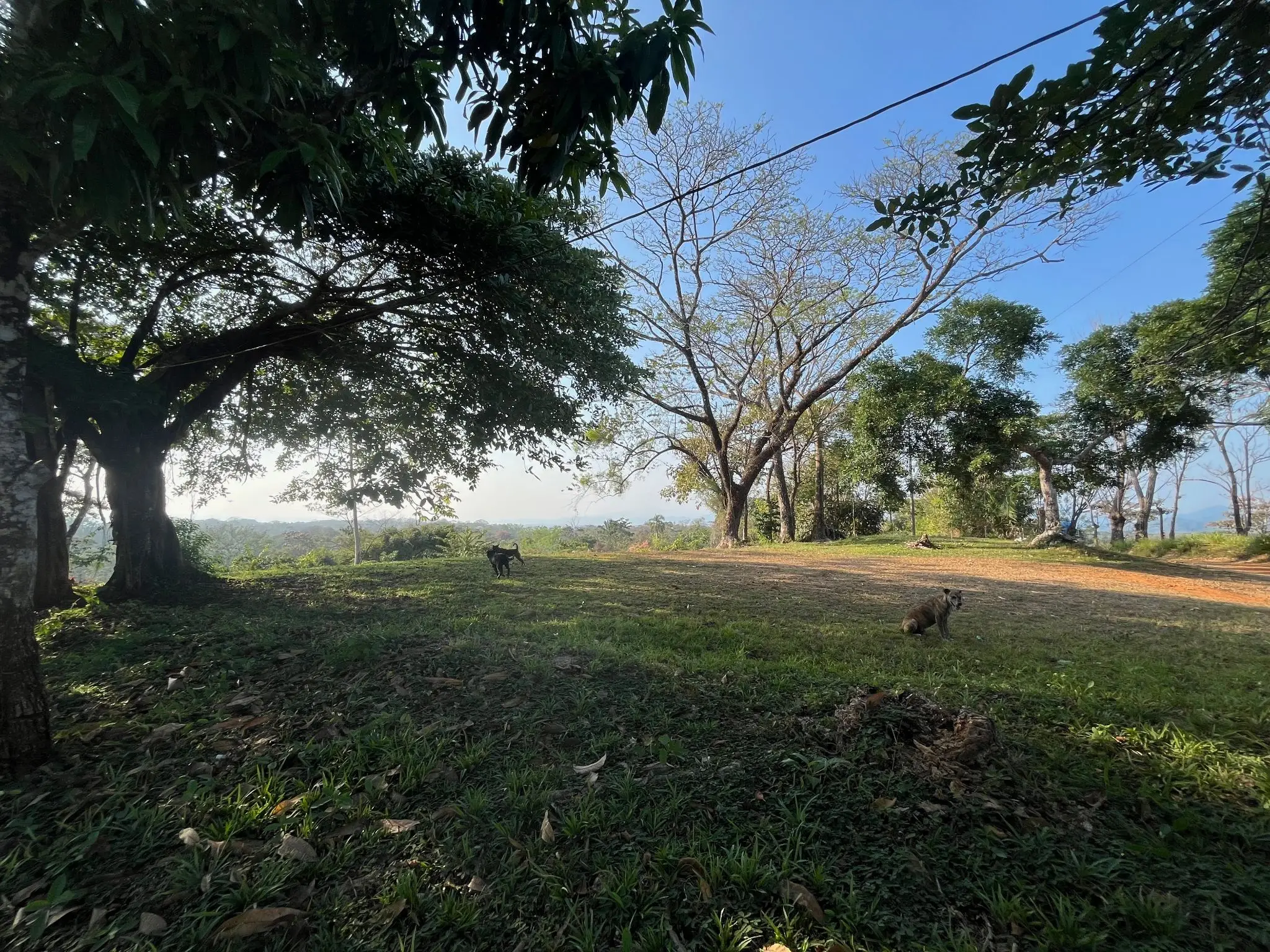 11,000 m² of Beautiful Land with Ocean View – Residential & Commercial Use in Santiago  - image 2