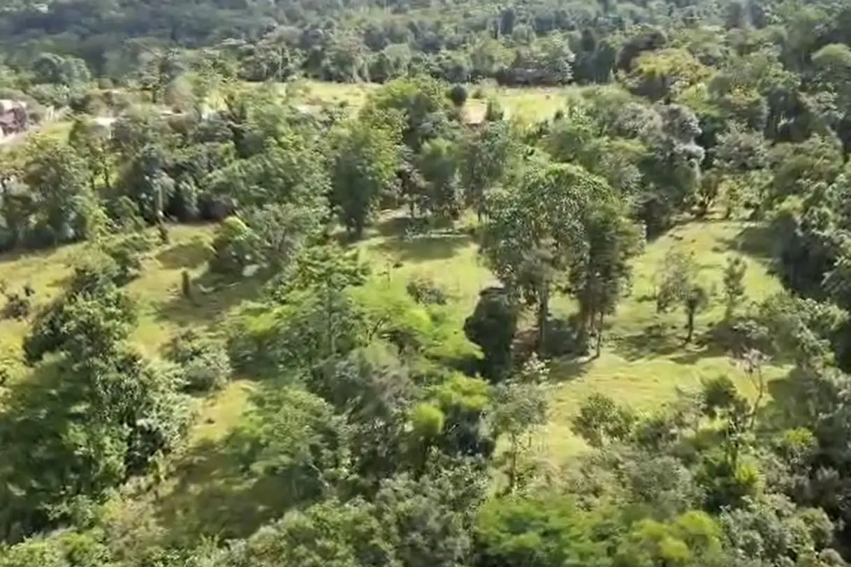 For Sale: Guapiles, Limón: Vast 6.2 Hectare Farm - image 11