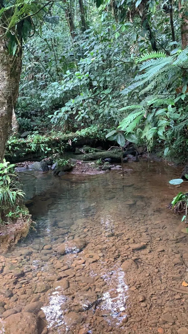 Majestic 83-Hectare Ranch & Agricultural Land in Sarapiquí, Costa Rica | Develop Your Dream - image 8