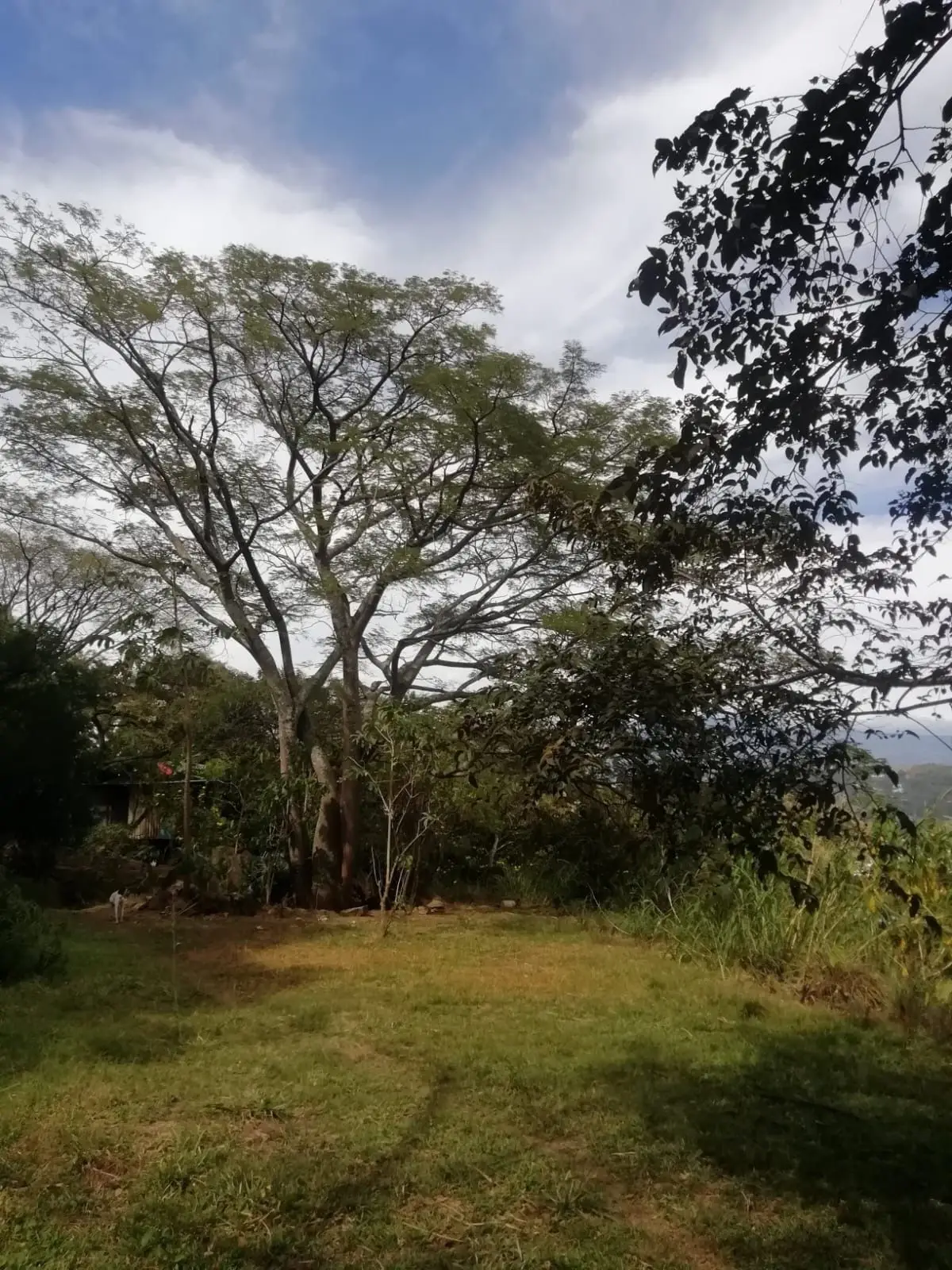 Beautiful lot in Santa Ana for a Developer - image 10