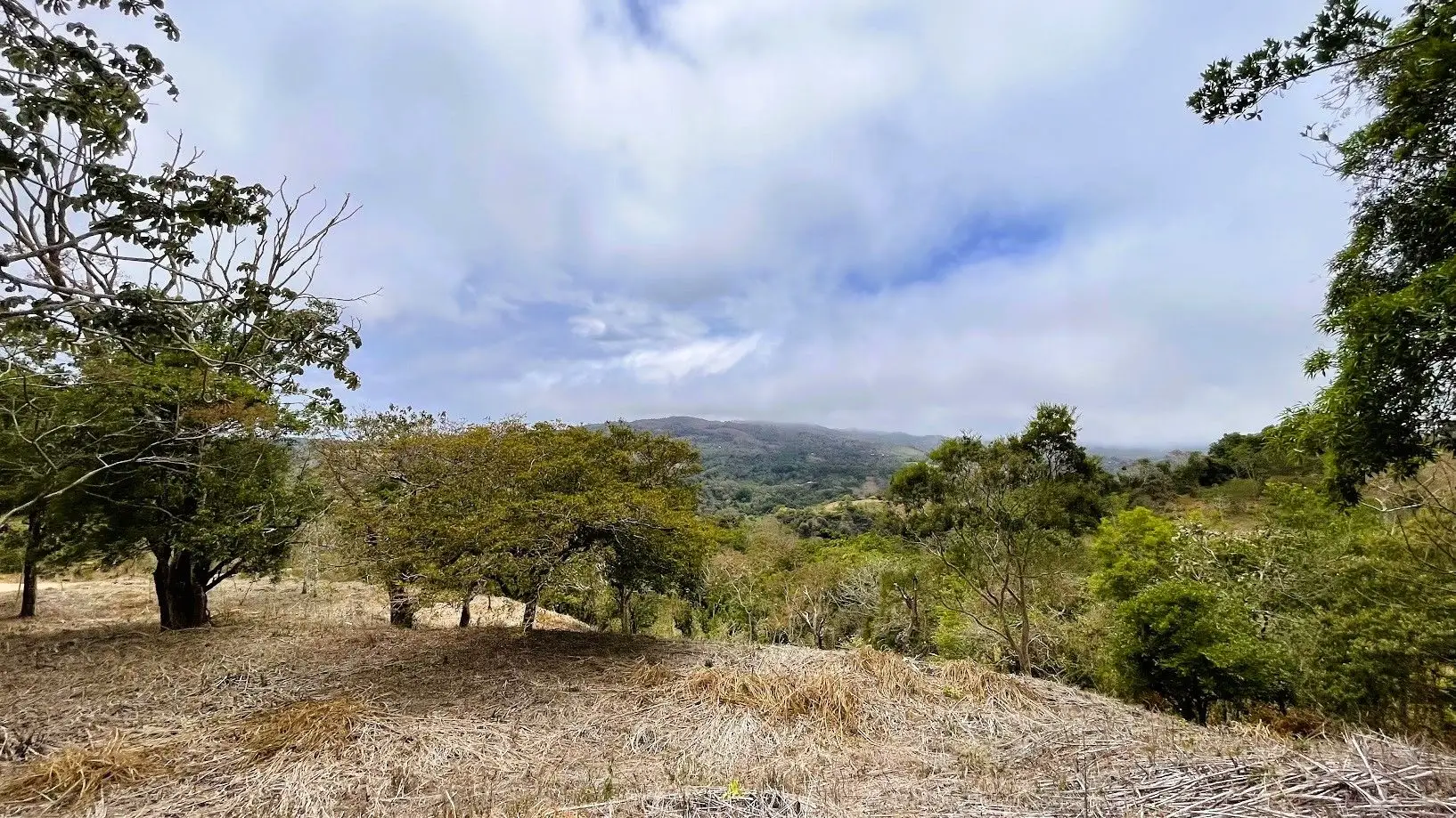 LOT FOR SALE - SAN PEDRO, SAN RAMON  - image 5