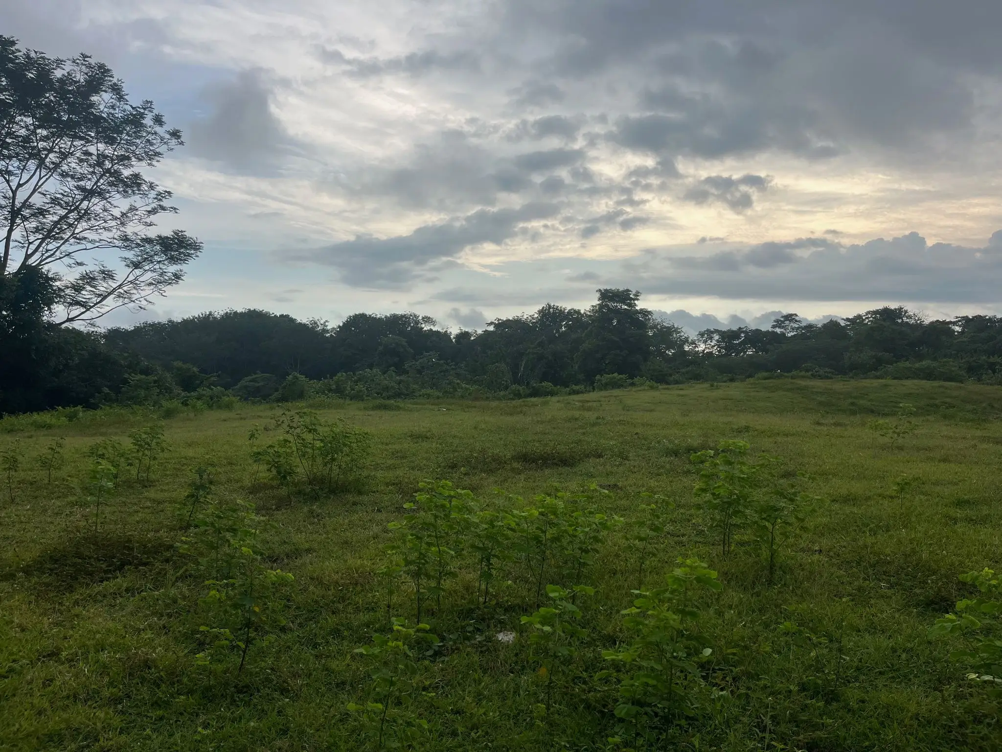 Exclusive Ocean View 2,7 hectares (6.8Acres) Estate Land in Playa Hermosa Hills - image 6