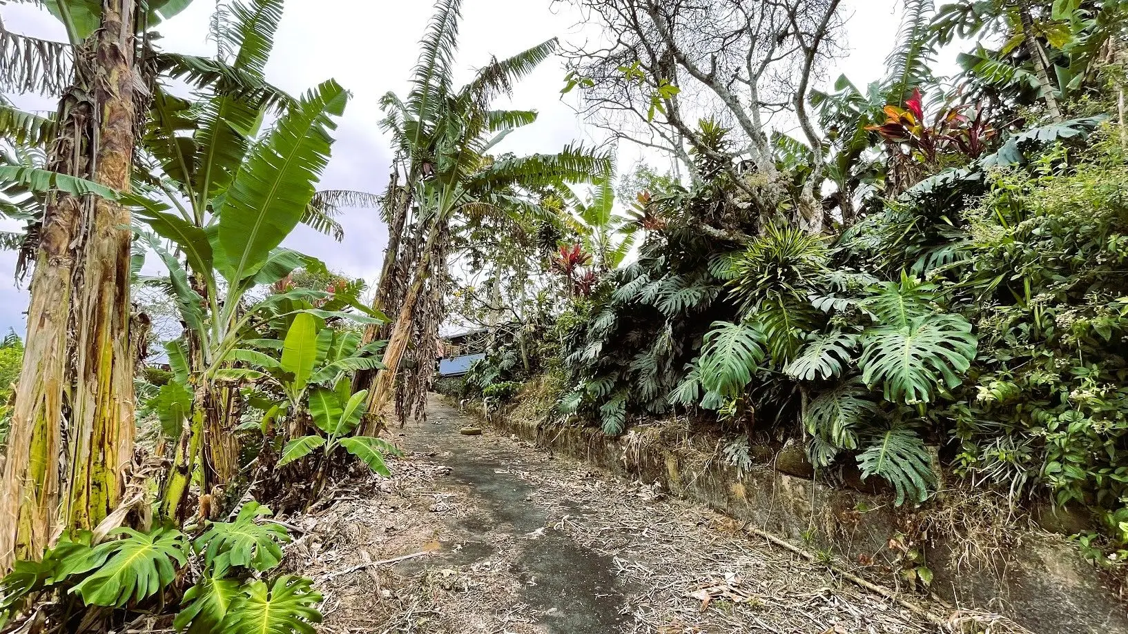 LOT WITH HOUSE FOR SALE IN ZARAGOZA, PALMARES - image 8