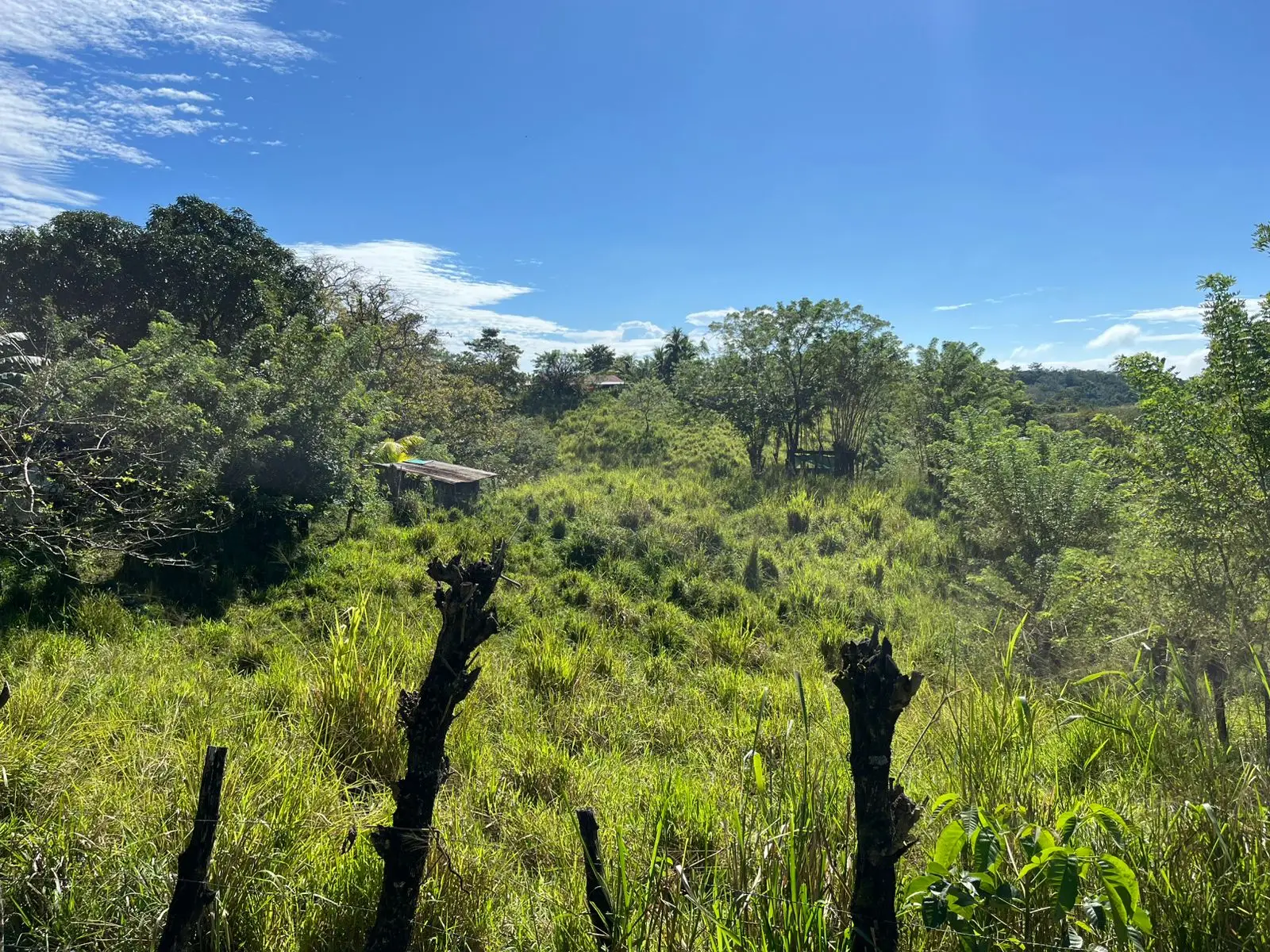 Prime 2354 m2 Commercial and Residential  Land  in San Isidro only 5 minutes from Santa Teresa  - image 2