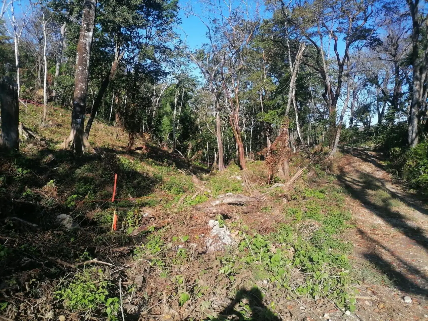 Amazing Tropical Mountain Lot for Sale - Santa Teresa - image 12