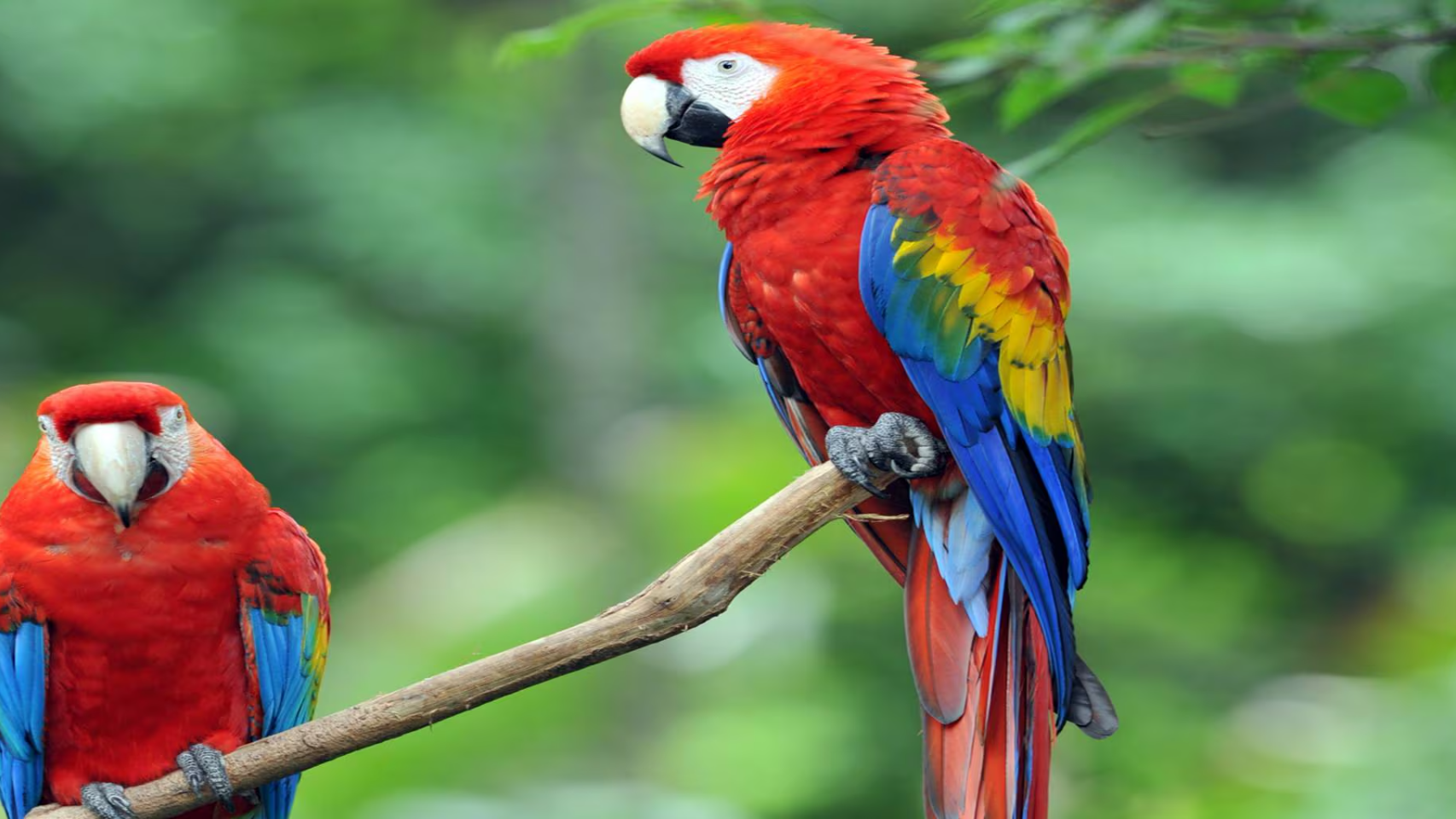 Private Sanctuary Between Jacó & Herradura: Peace & Nature, 10 Min from Everything - image 15