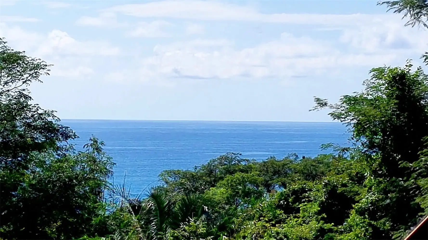  3 Independent Units, Pool & Tropical Gardens steps to the Beach in Mal País and minutes to Santa Teresa  - image 12