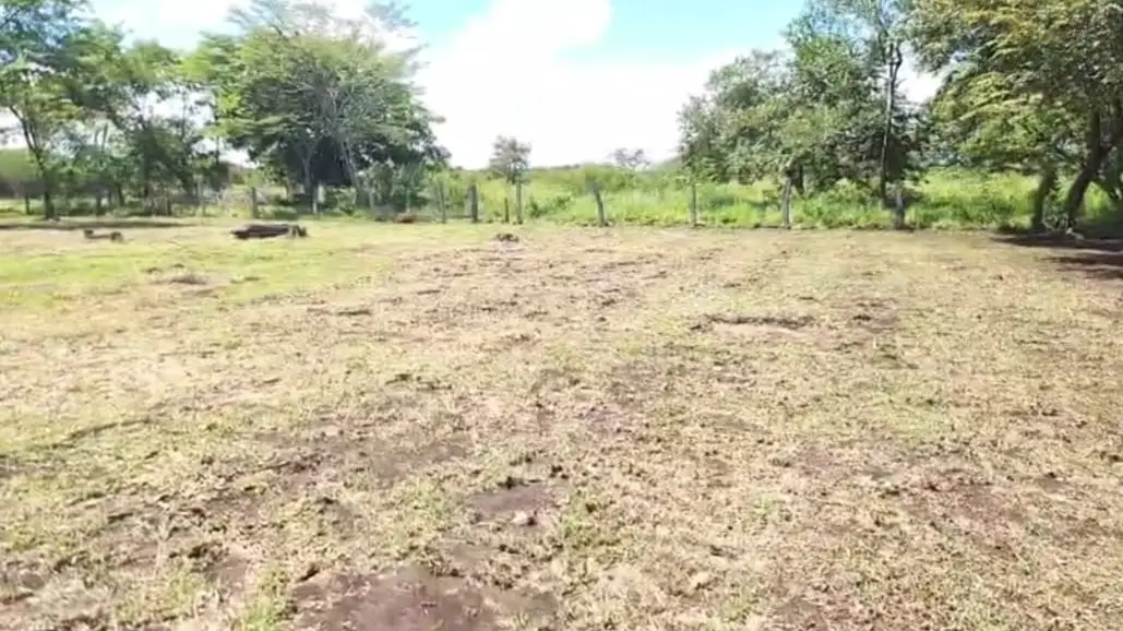 Prime Land in La Fortuna, Bagaces - Build Your Dream Home! - image 9