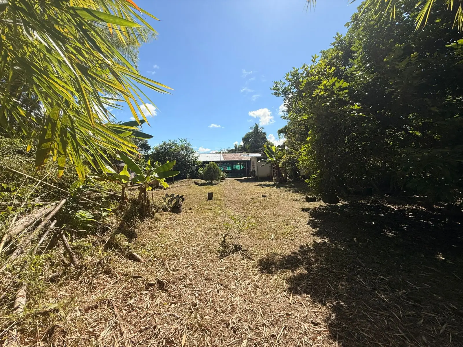 Incredible lot near the center - image 3