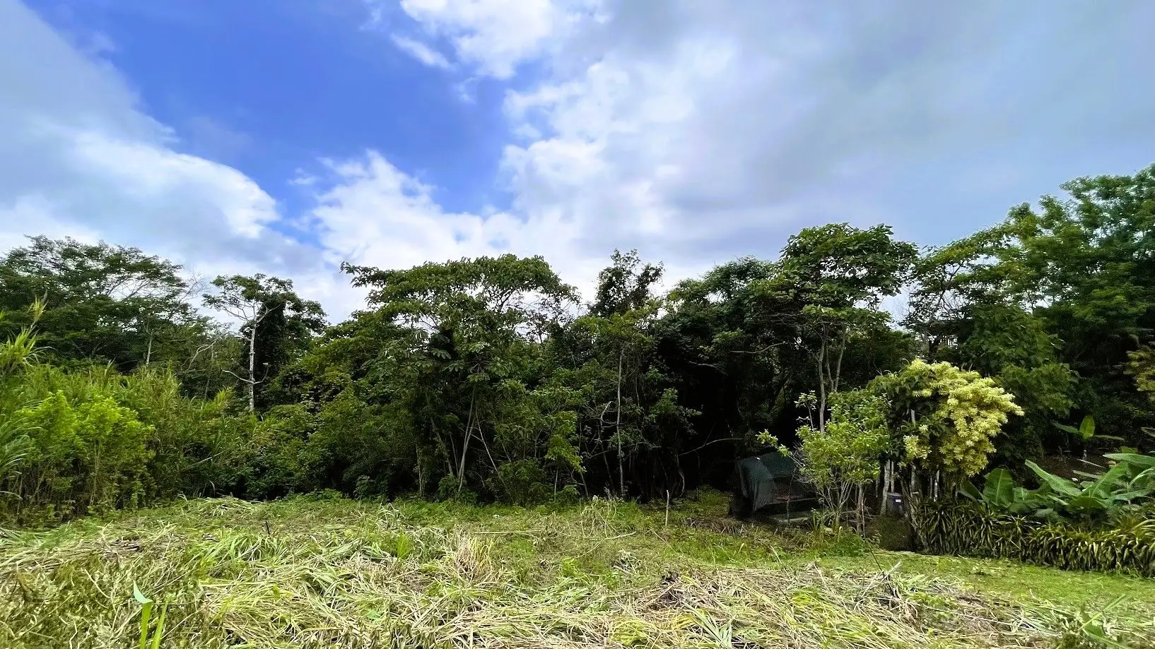 LOT FOR SALE IN SAN PEDRO, SAN RAMON - image 7