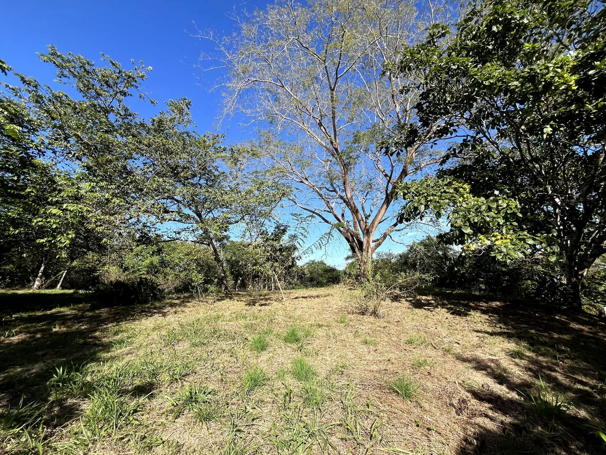 4000m2 Lot with parcial ocean views  in Delicias close to Montezuma and 20 min from Santa Teresa Ready to Build - image 3
