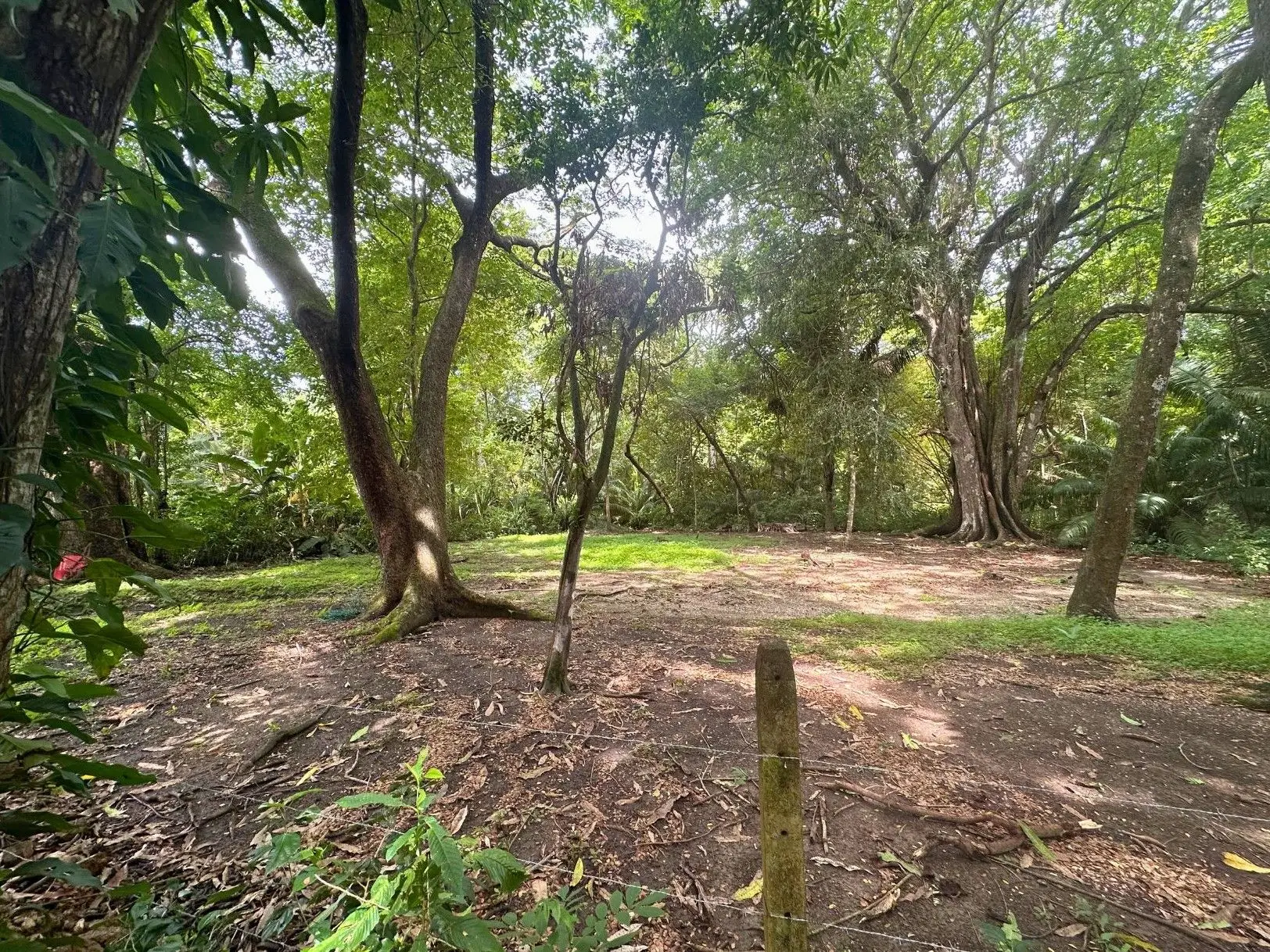 Exclusive Beach property in Playa Hermosa, Costa Rica – ready for a luxury villa or boutique hotel, with direct beach access and permits in place. - image 12