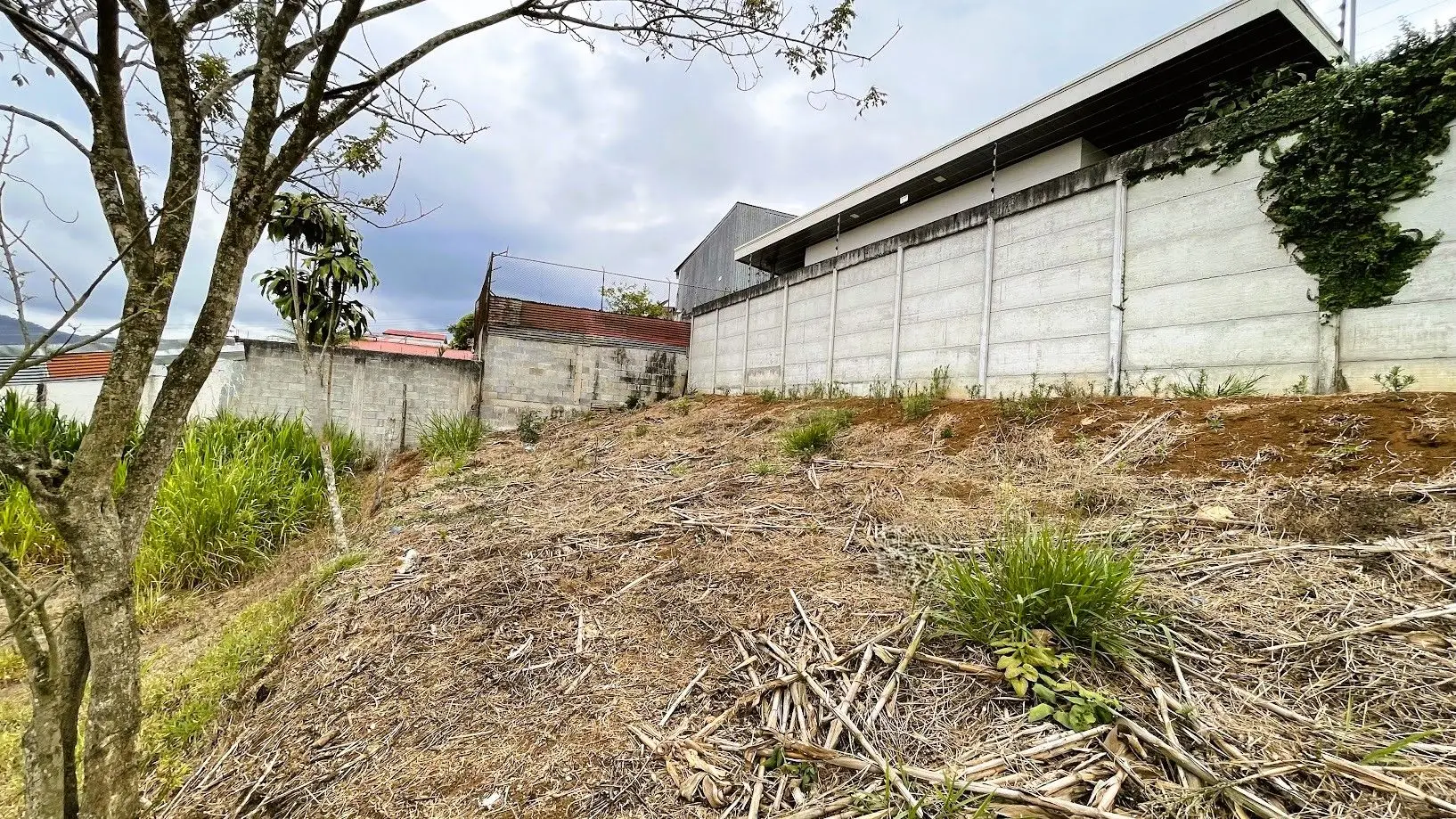 LOT FOR SALE IN SAN RAMON, ALAJUELA - image 12