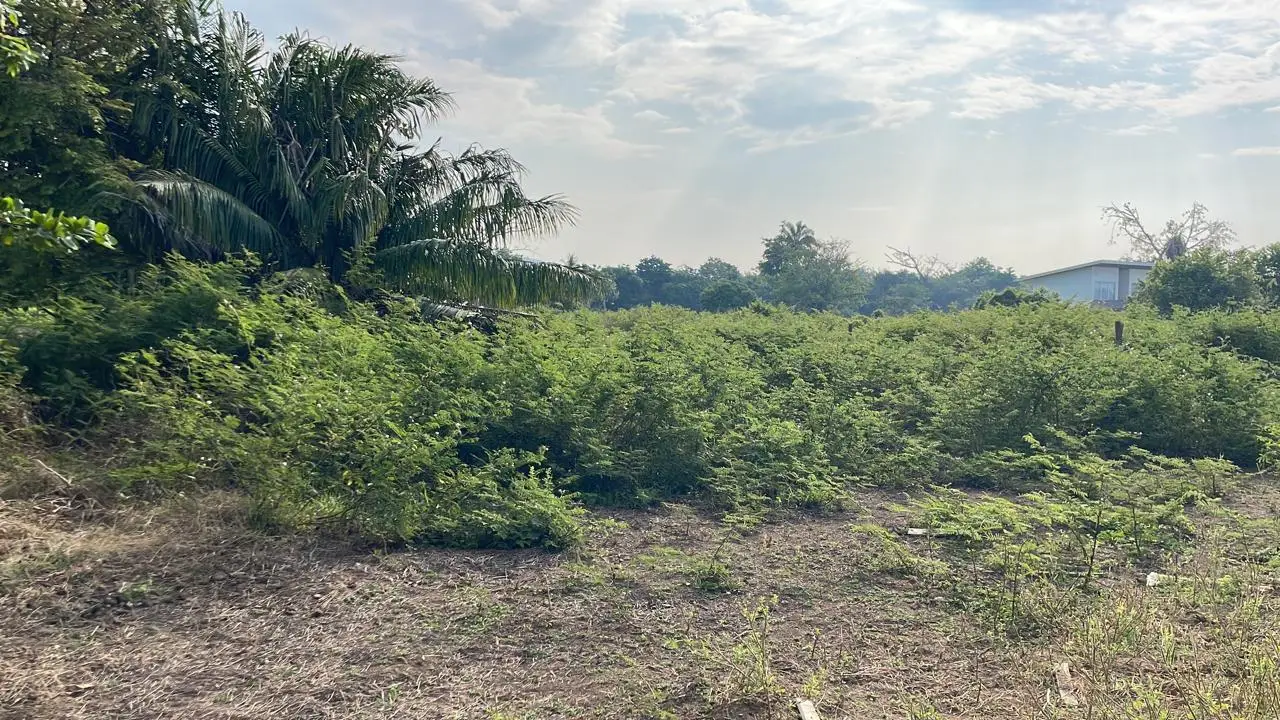 Stunning Ocean View Property in Playa Hermosa de Jaco - image 7