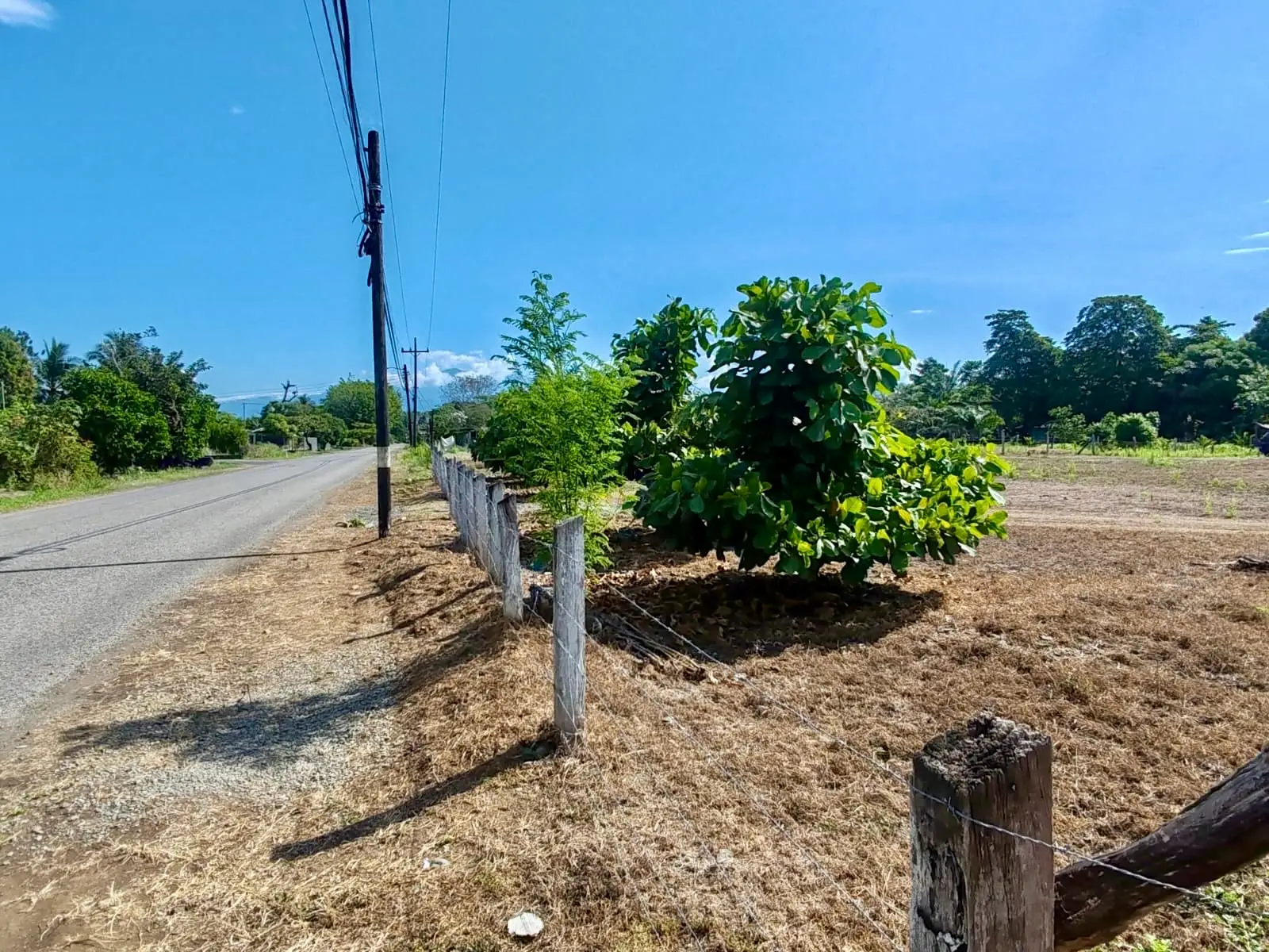 Expansive 4200sqm Land for Development or Farming near Playa Palo Seco, Parrita - image 11