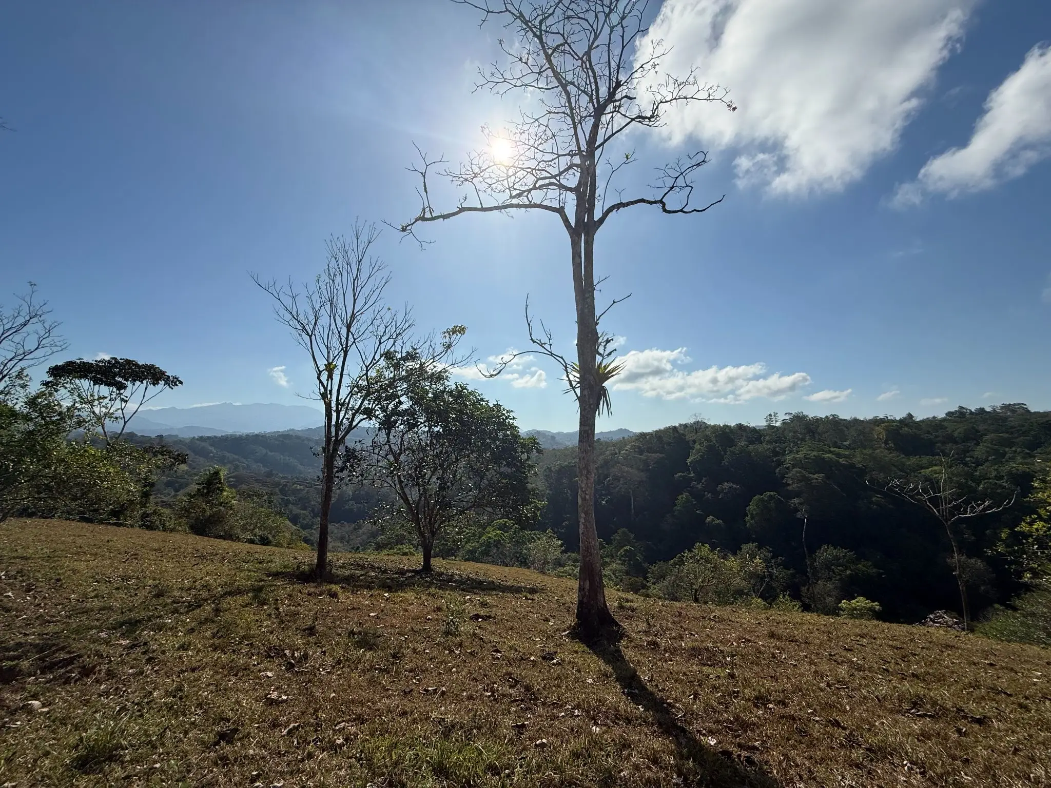 Eco-Luxury Mountain Santuary  11.48 Hectares of Pristine Paradise: Lush Forest, River & Farm Potential in Arenal Puriscal , San Jose  - image 6