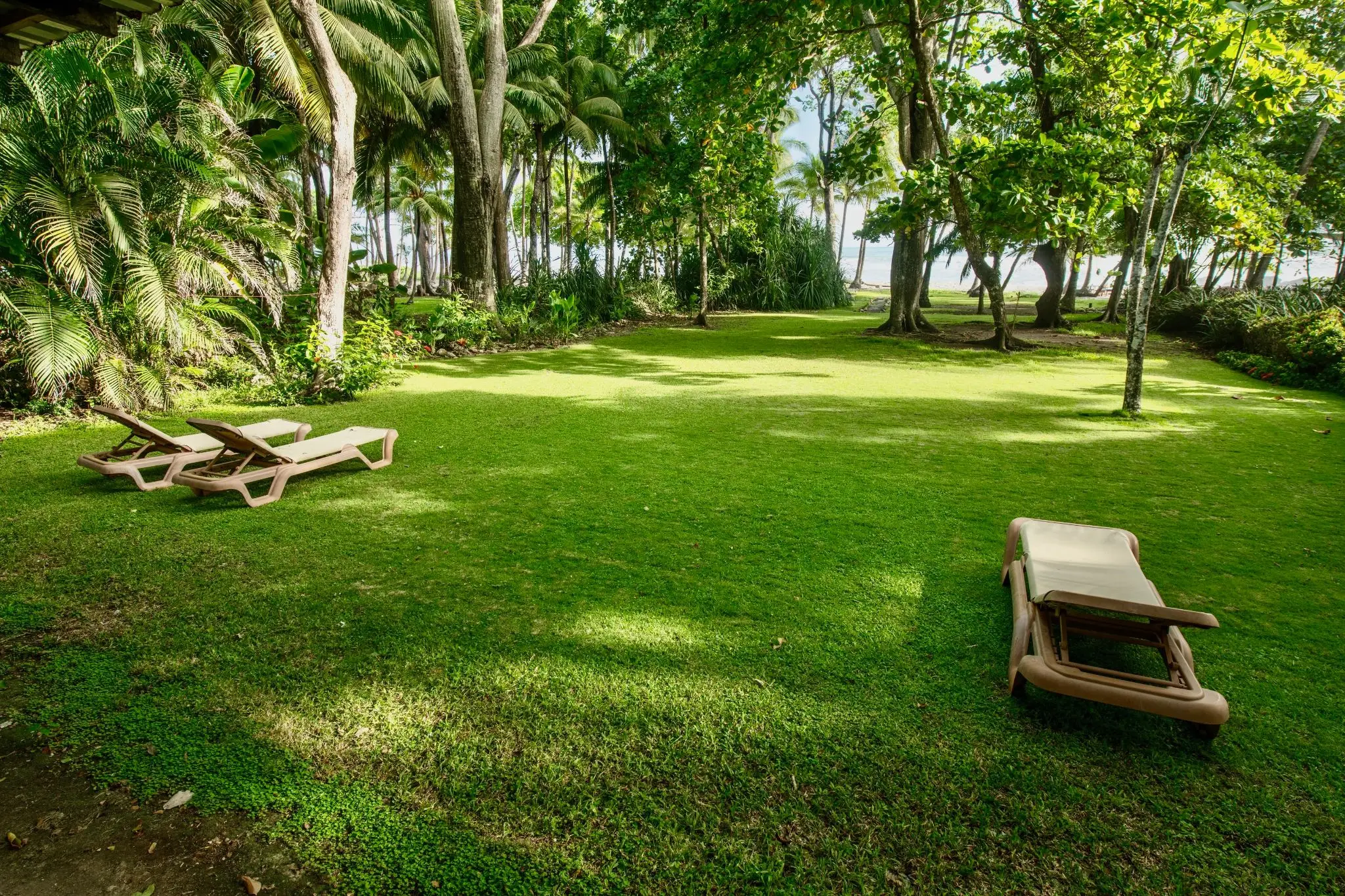 Oceanfront 3 Bedroom Home with Terrace, Surf & Sunset Views - image 1