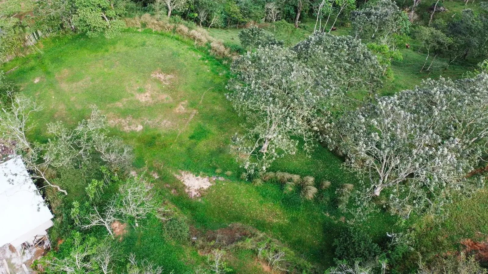 Expansive 2500 sqm Land in Santiago, San Ramón, Costa Rica - image 4